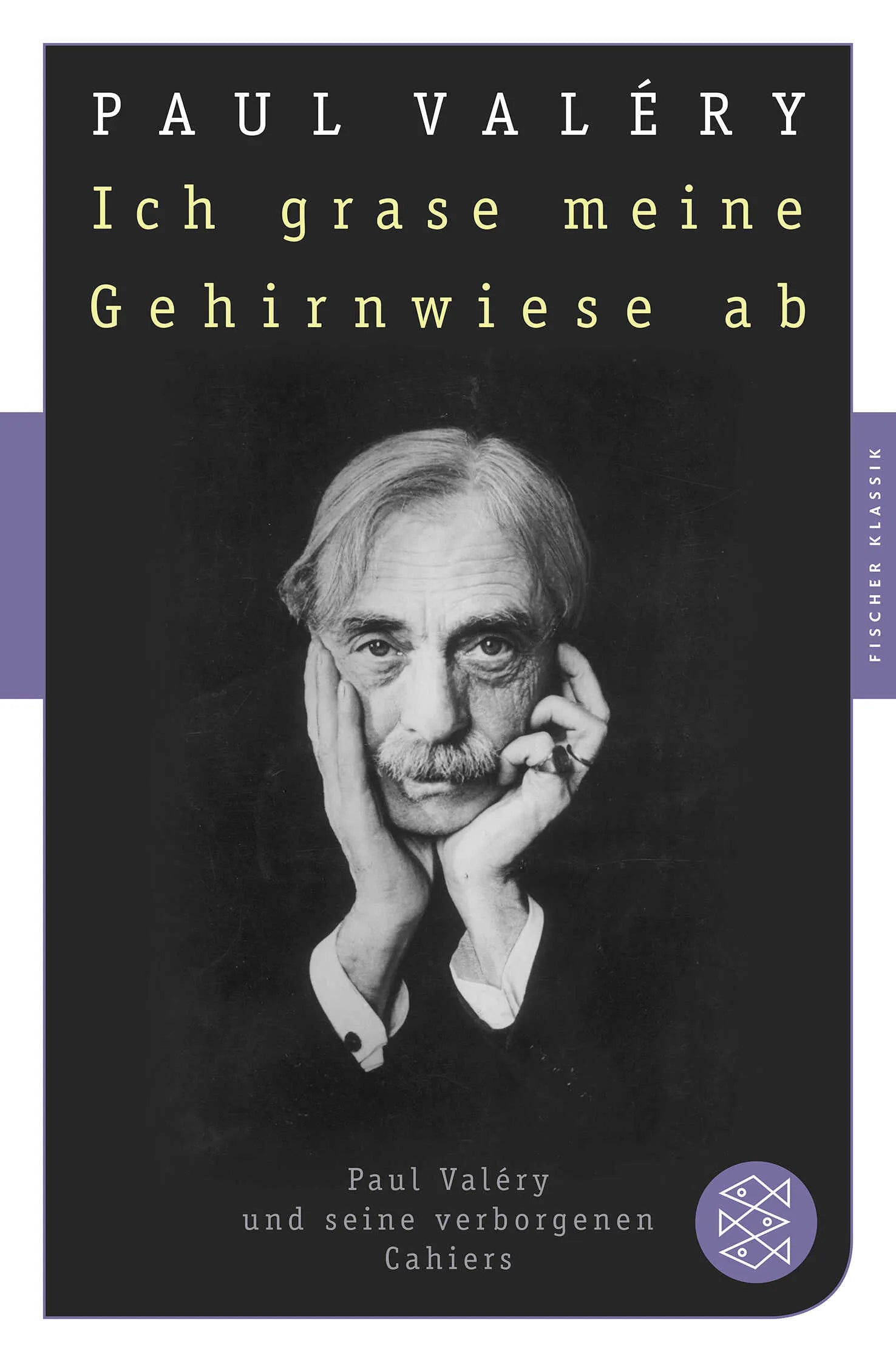 Buchcover von 'Ich grase meine Gehirnwiese ab' - Taschenbuch von Paul Valéry