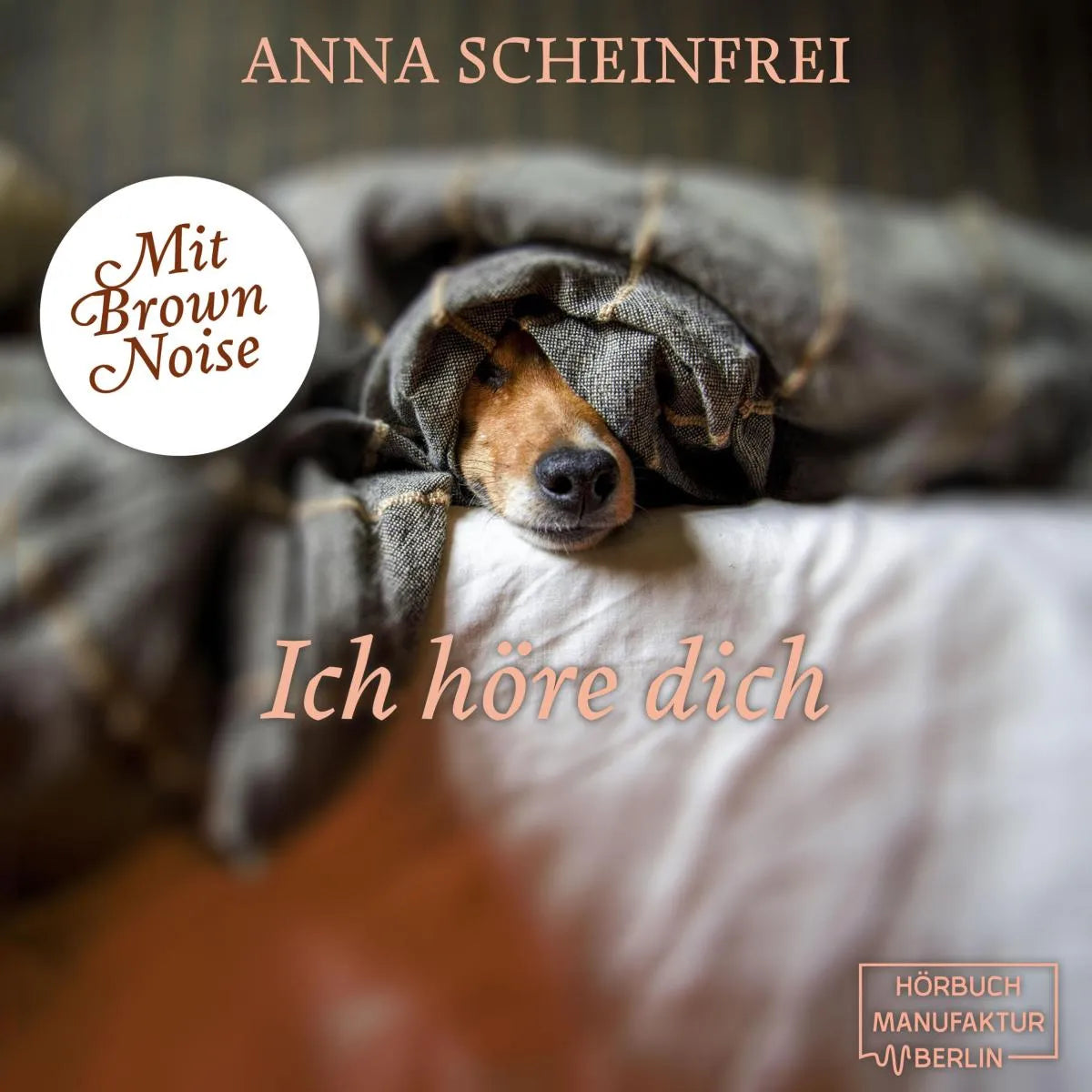 Cover: Ich höre dich (Hörbuch Download) von Anna Scheinfrei