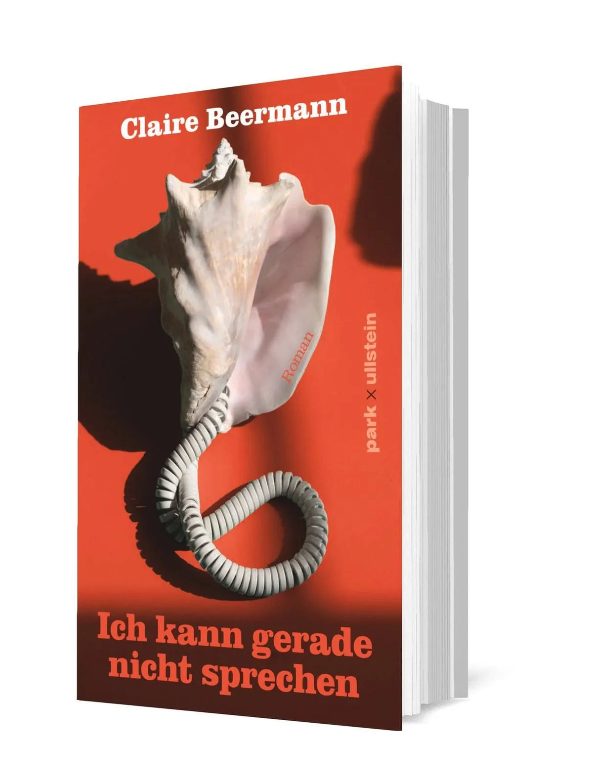 Detailansicht: Ich kann gerade nicht sprechen (Hardcover)