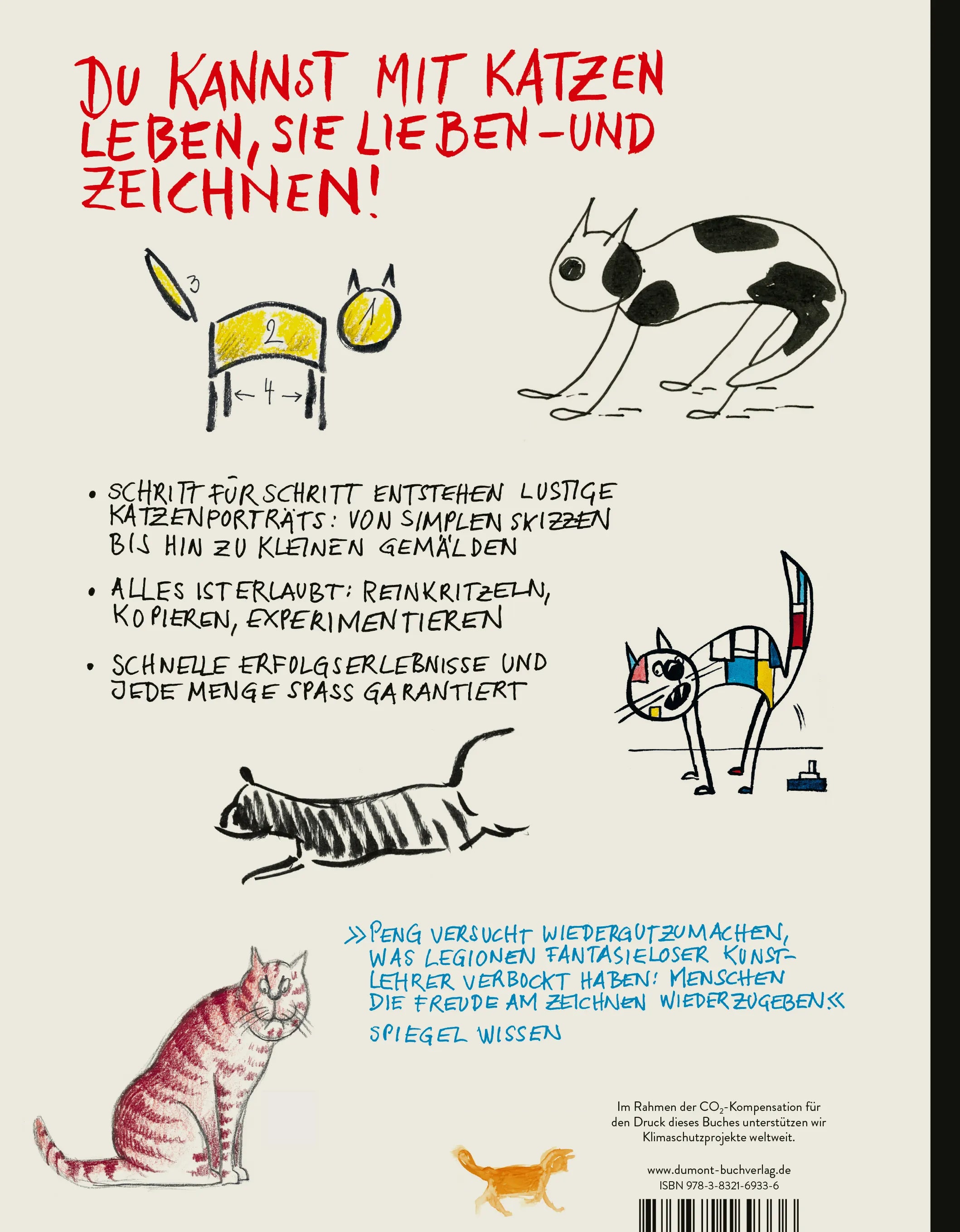 BuchrÃ¼ckseite von 'Ich kann' mit Klappentext - Paperback