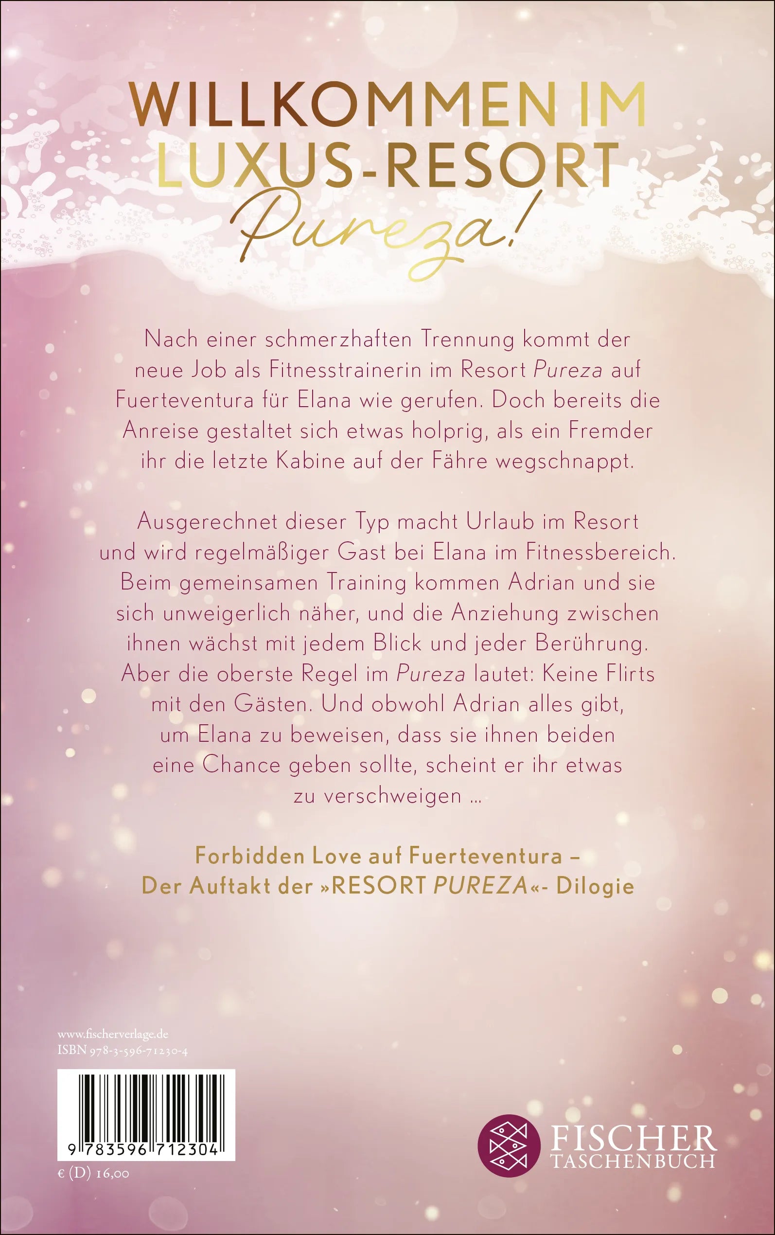Buchrückseite von 'If You Fly Too Far' mit Klappentext - Paperback