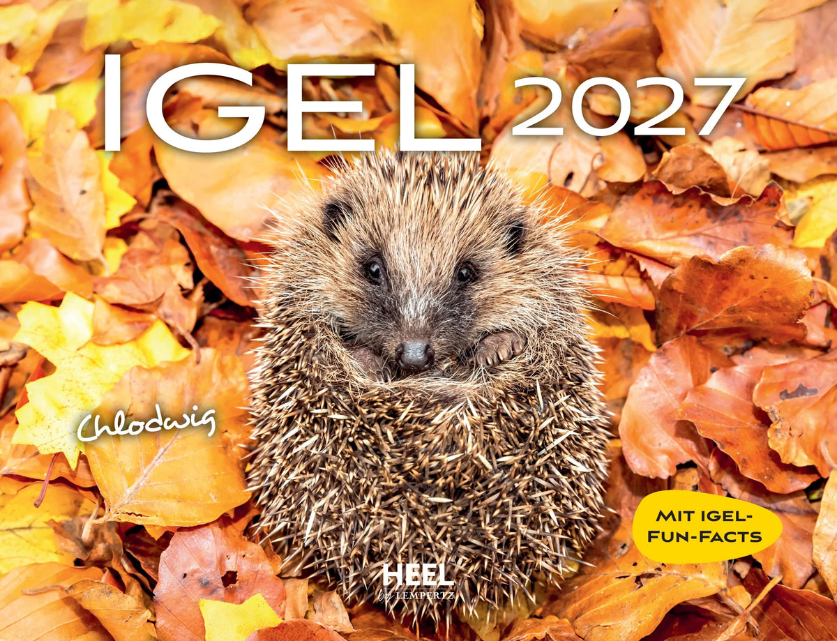 Wandkalender: Igel 2027 Eintragkalender