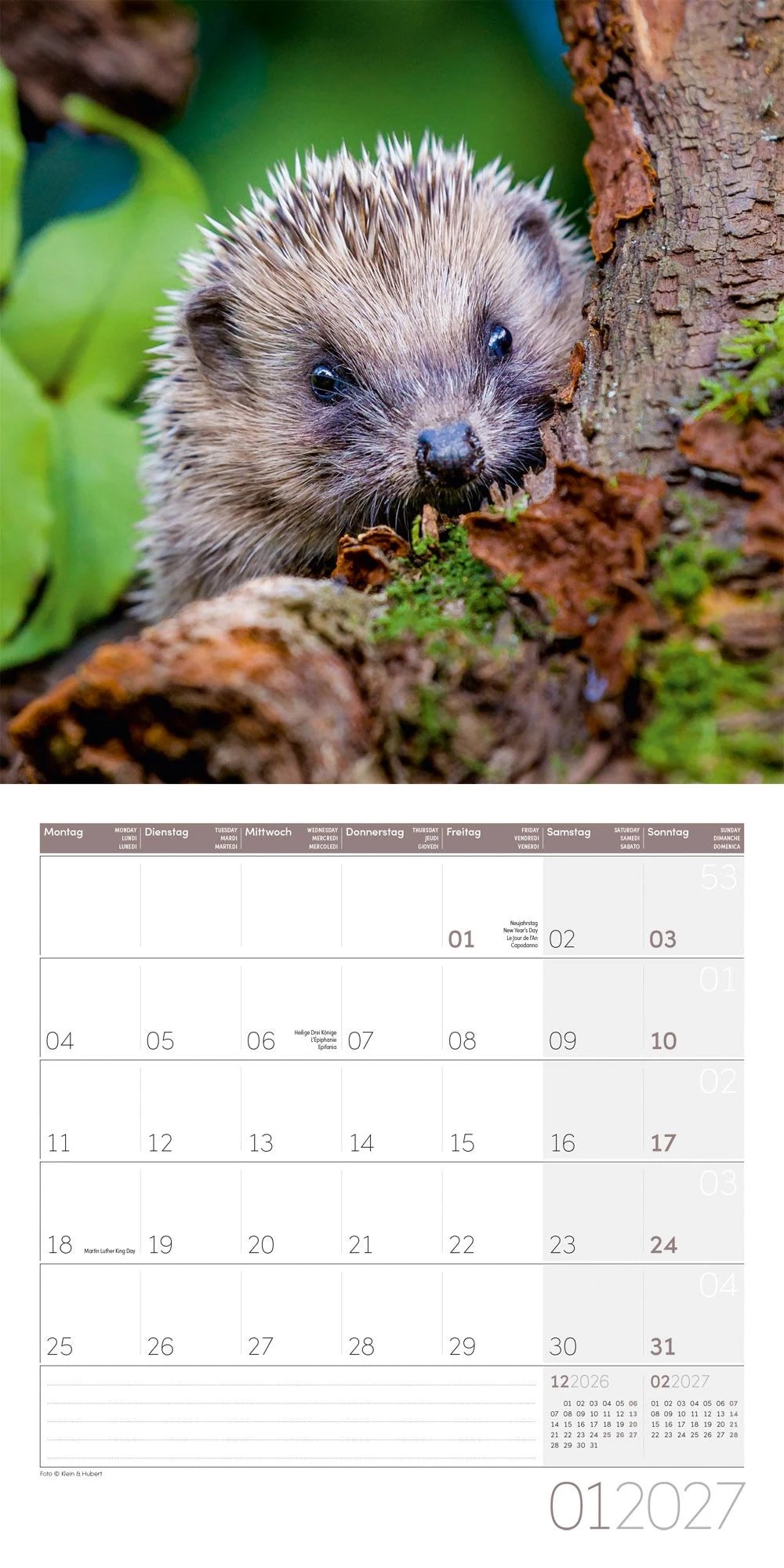 Igel Kalender 2027 - 30x30 - Art12 – Ansicht