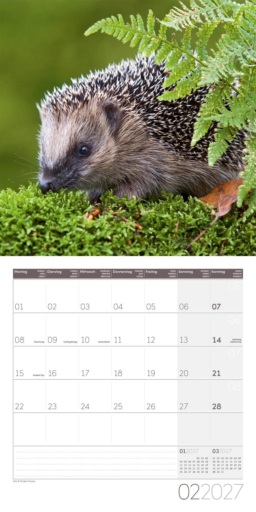 Igel Kalender 2027 - 30x30 - Art12 – Ansicht