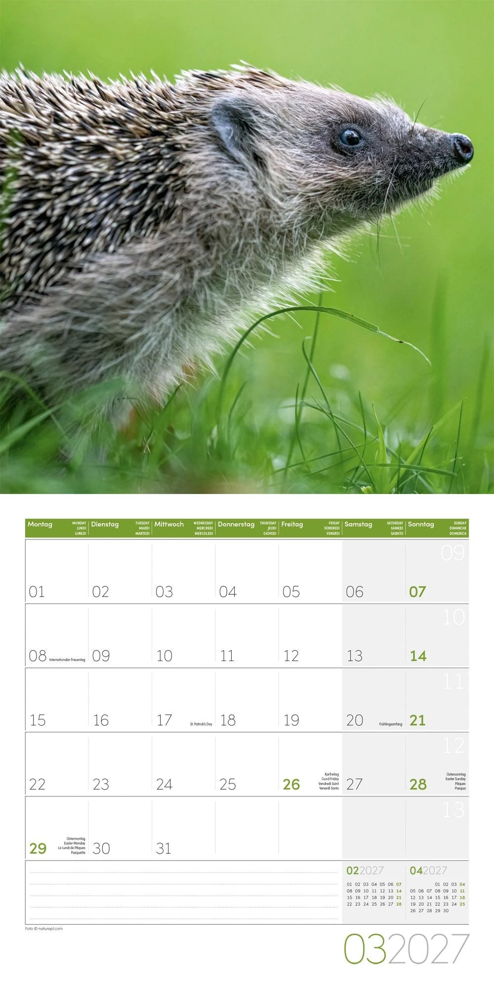 Igel Kalender 2027 - 30x30 - Art12 – Ansicht