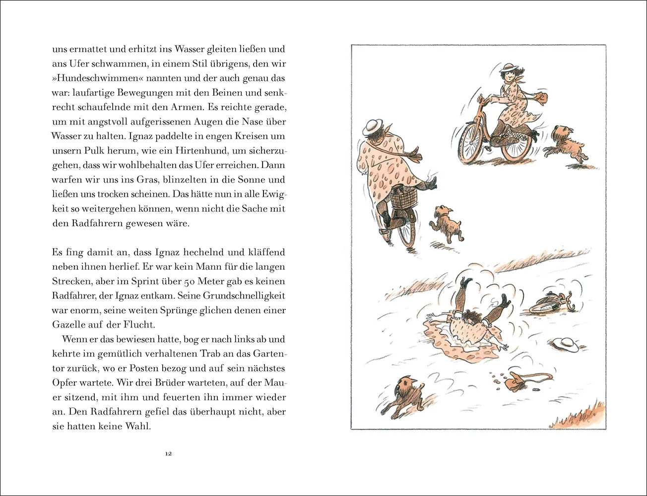 Produktansicht: Ignaz, die gelbe Dogge und die Höllenhunde (Gebundene Ausgabe)