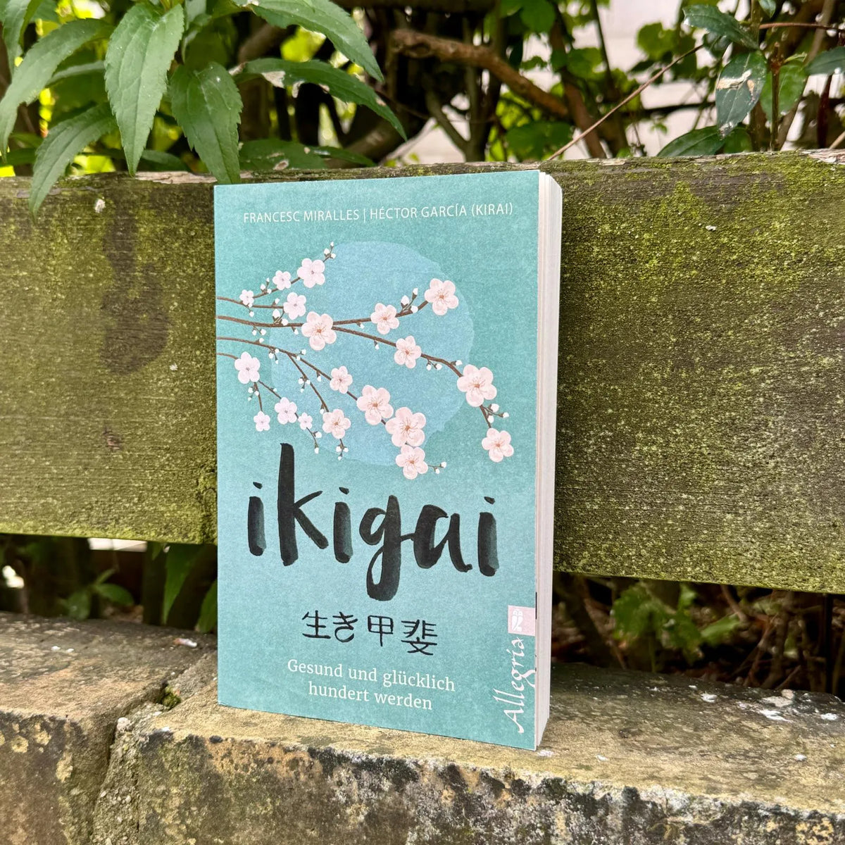 Abbildung von 'Ikigai'