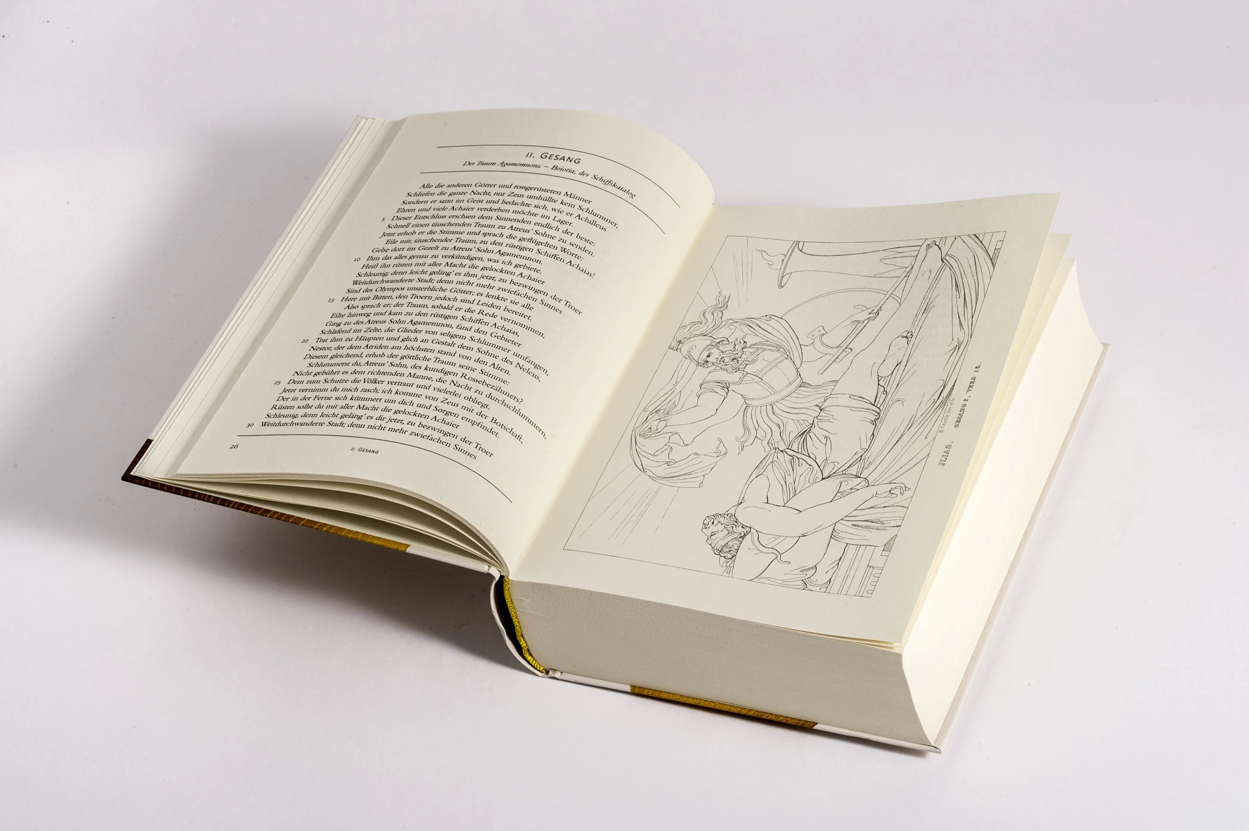 Detailansicht: Ilias (Hardcover)