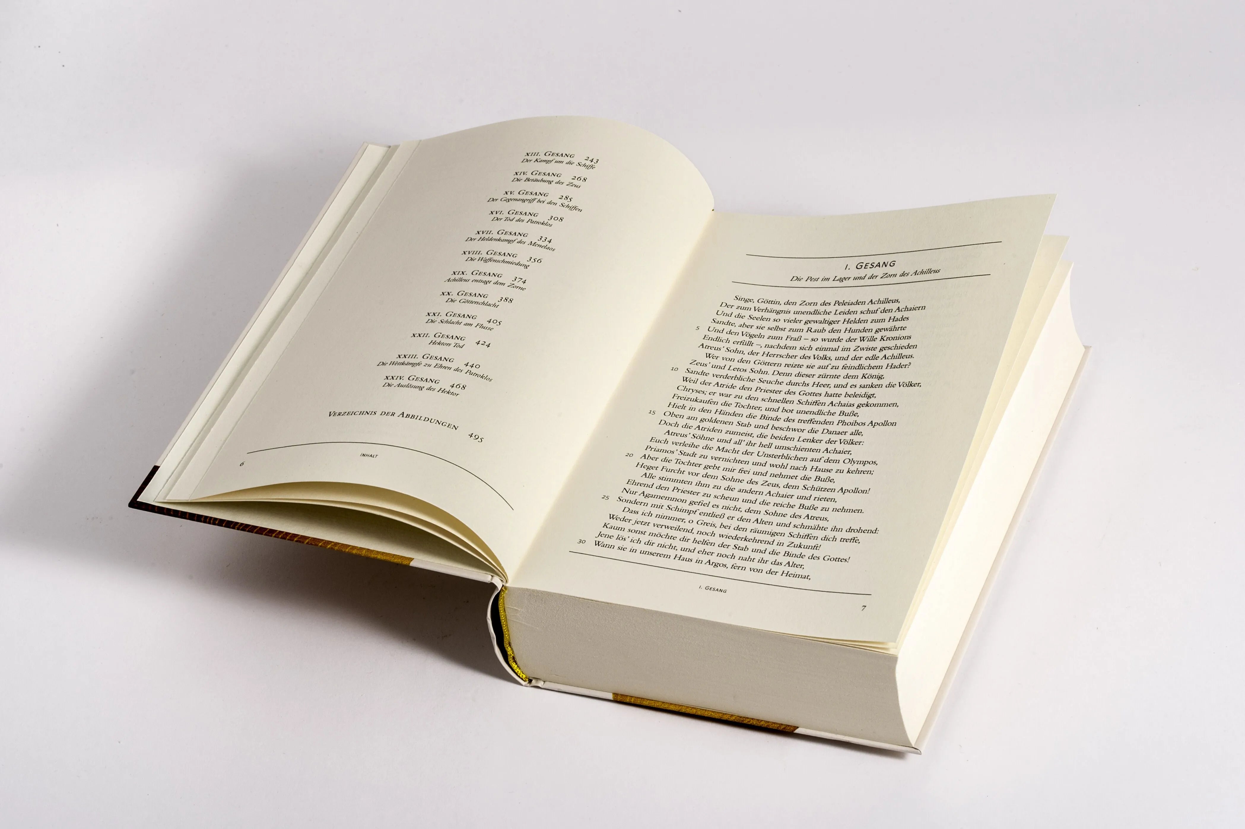 Detailansicht: Ilias (Hardcover)