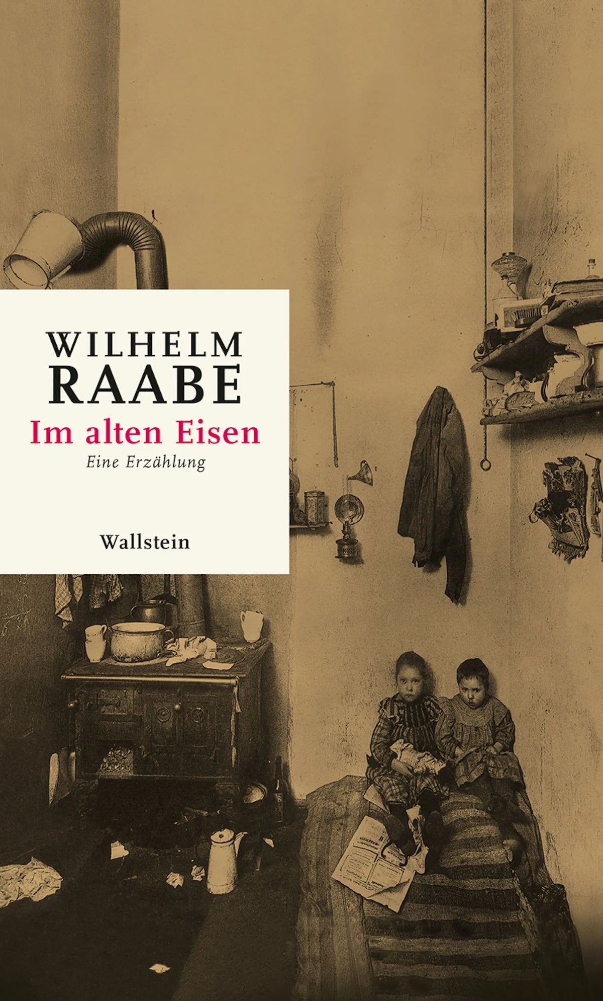 Cover: Im alten Eisen (E-Book) von Wilhelm Raabe