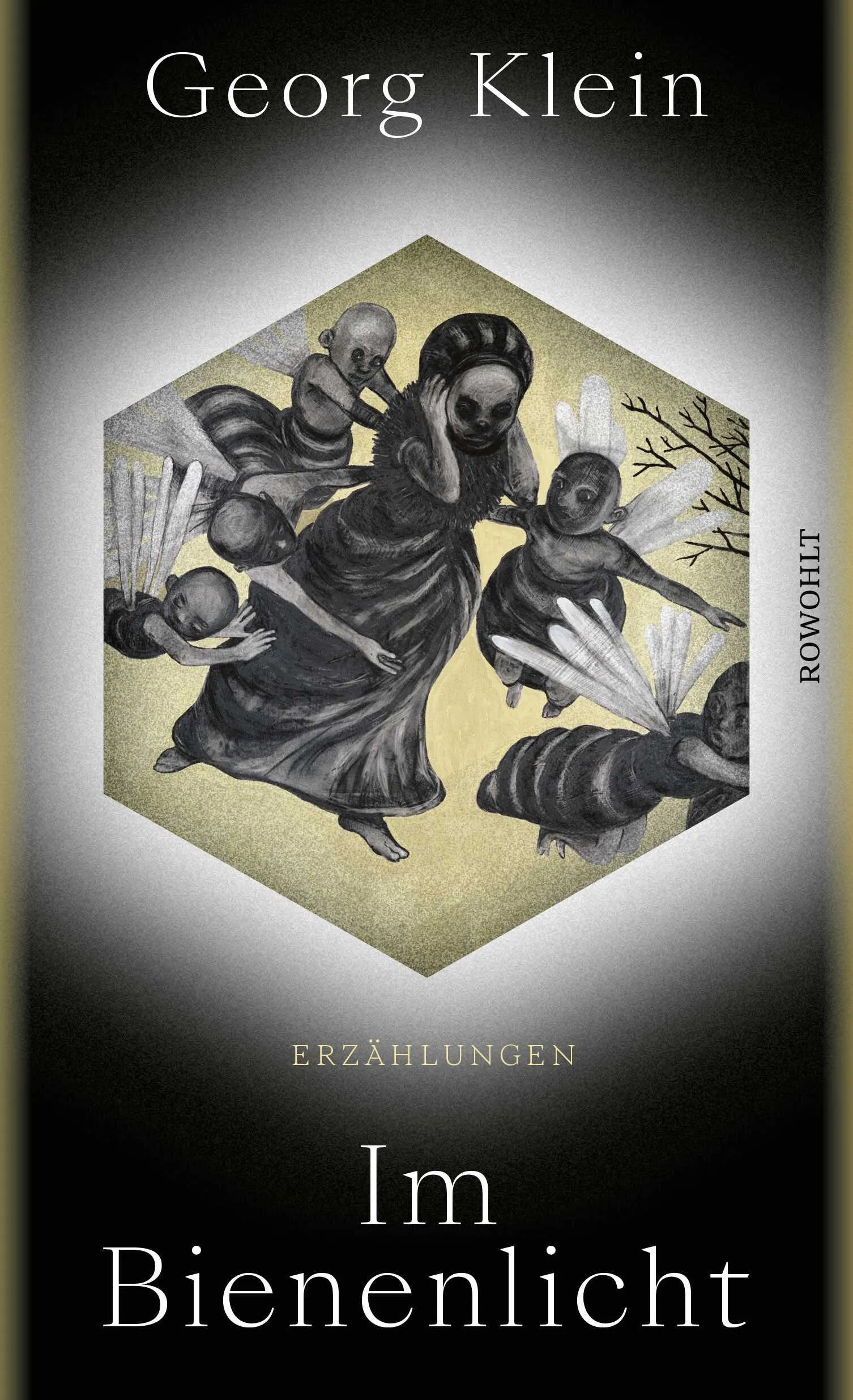 Buchcover von 'Im Bienenlicht' - Gebundene Ausgabe von Georg Klein