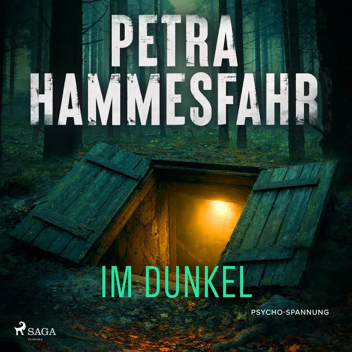 Cover: Im Dunkel (Hörbuch Download) von Petra Hammesfahr