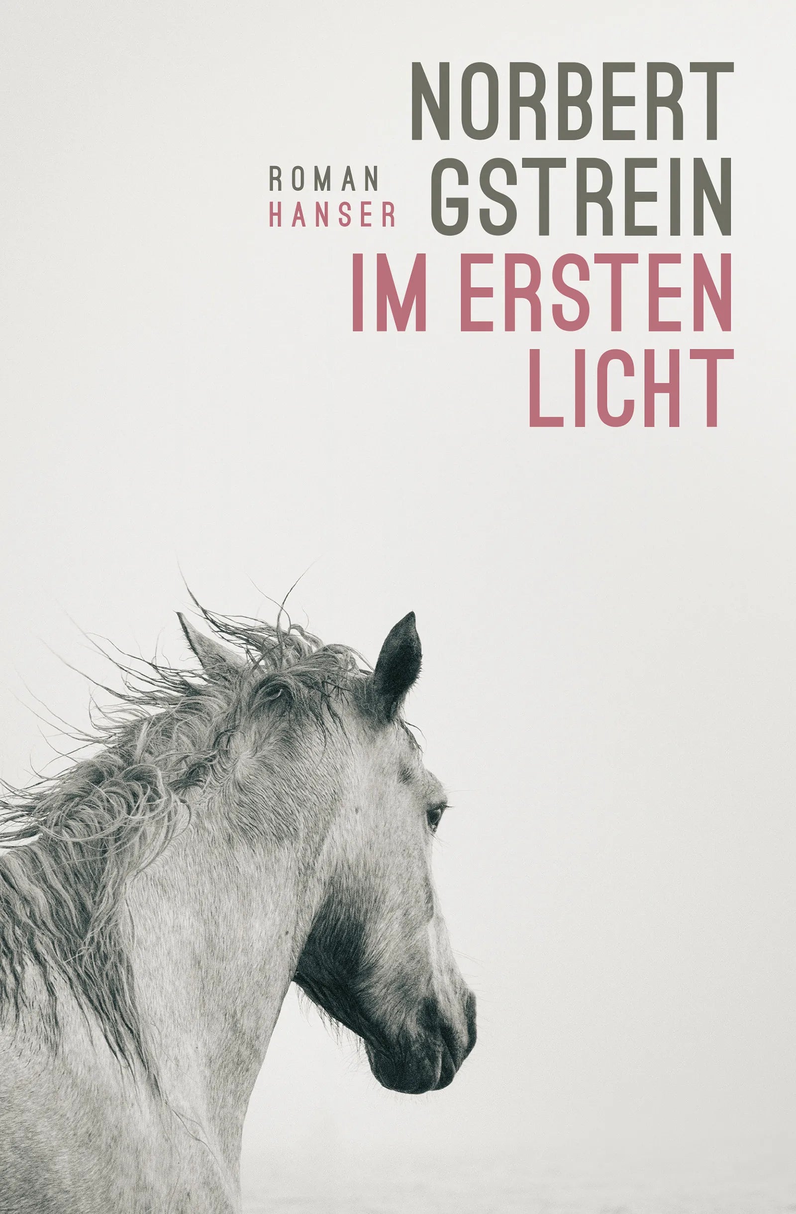 Buchcover von 'Im ersten Licht' - Gebundene Ausgabe von Norbert Gstrein