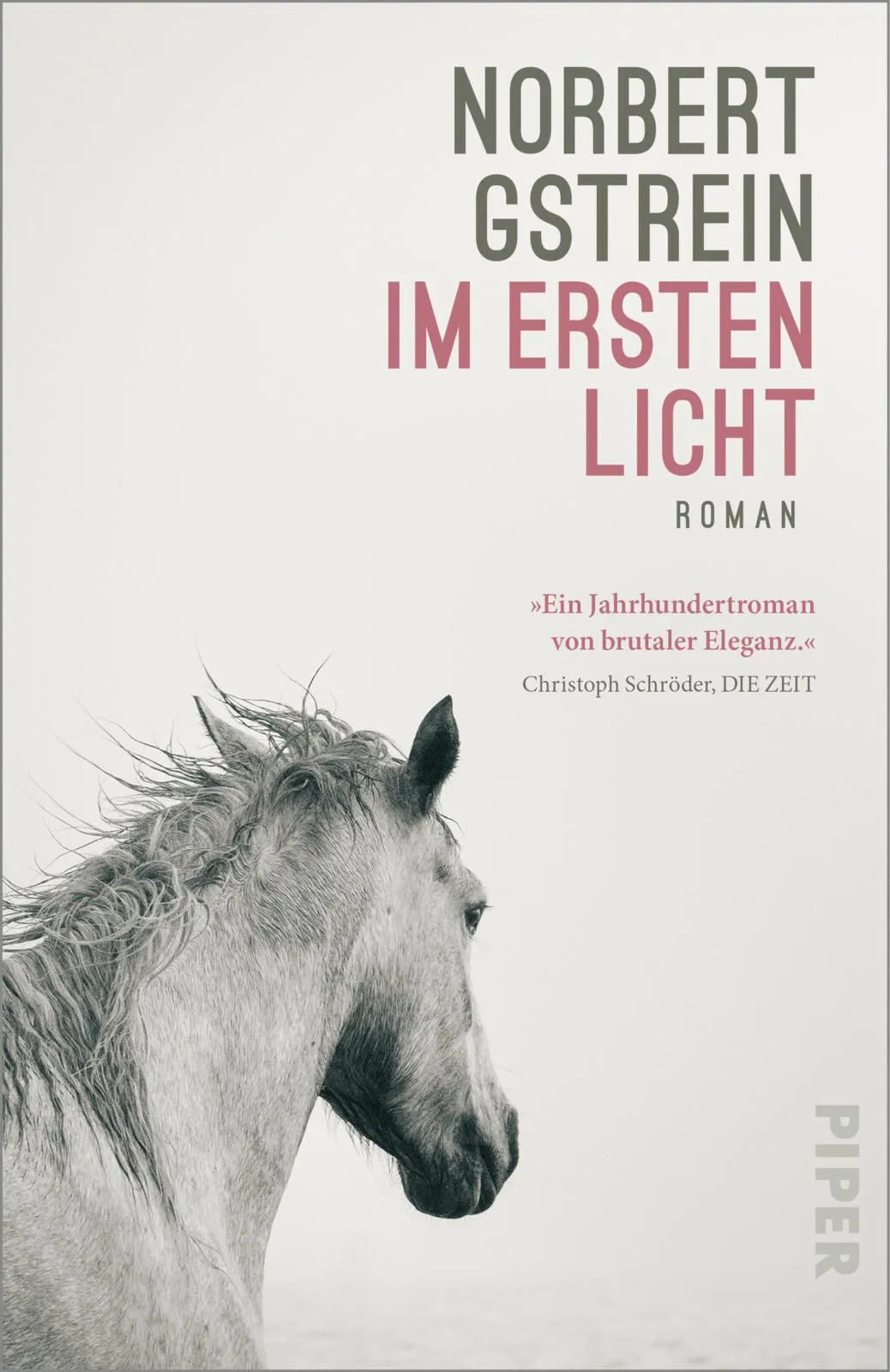 Cover: Im ersten Licht (Taschenbuch) von Norbert Gstrein