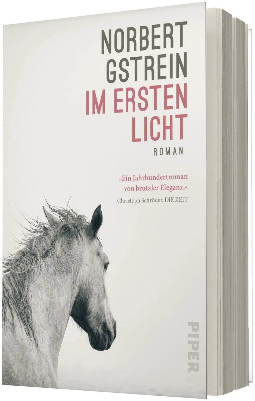 Detailansicht: Im ersten Licht (Taschenbuch)