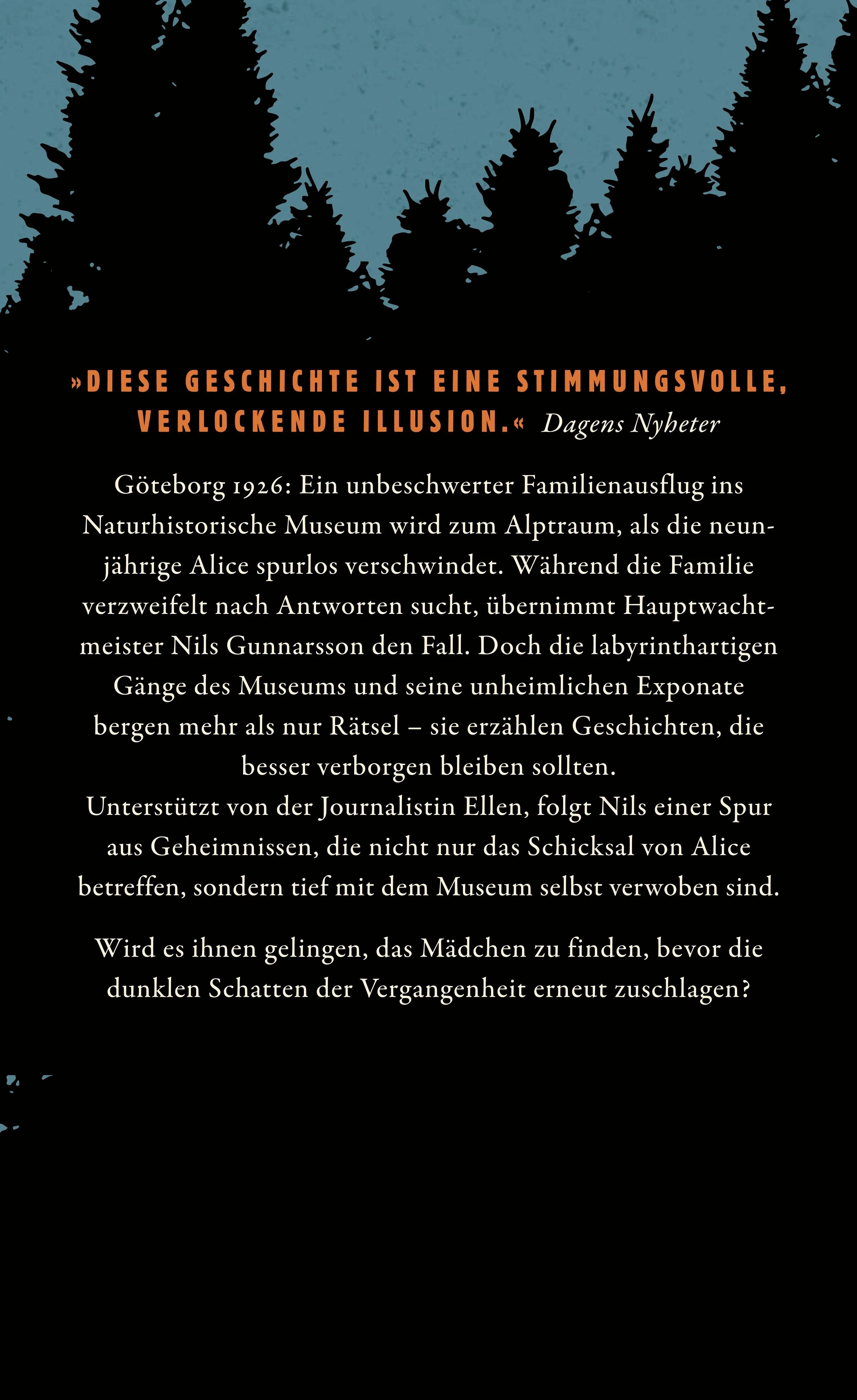 Buchrückseite von 'Im Finsterwald' mit Klappentext - Paperback