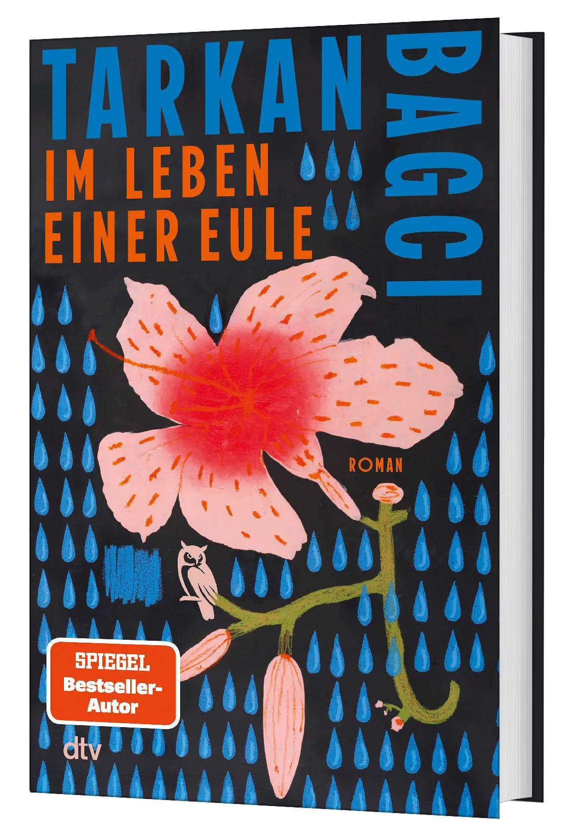 Detailansicht: Im Leben einer Eule (Hardcover)