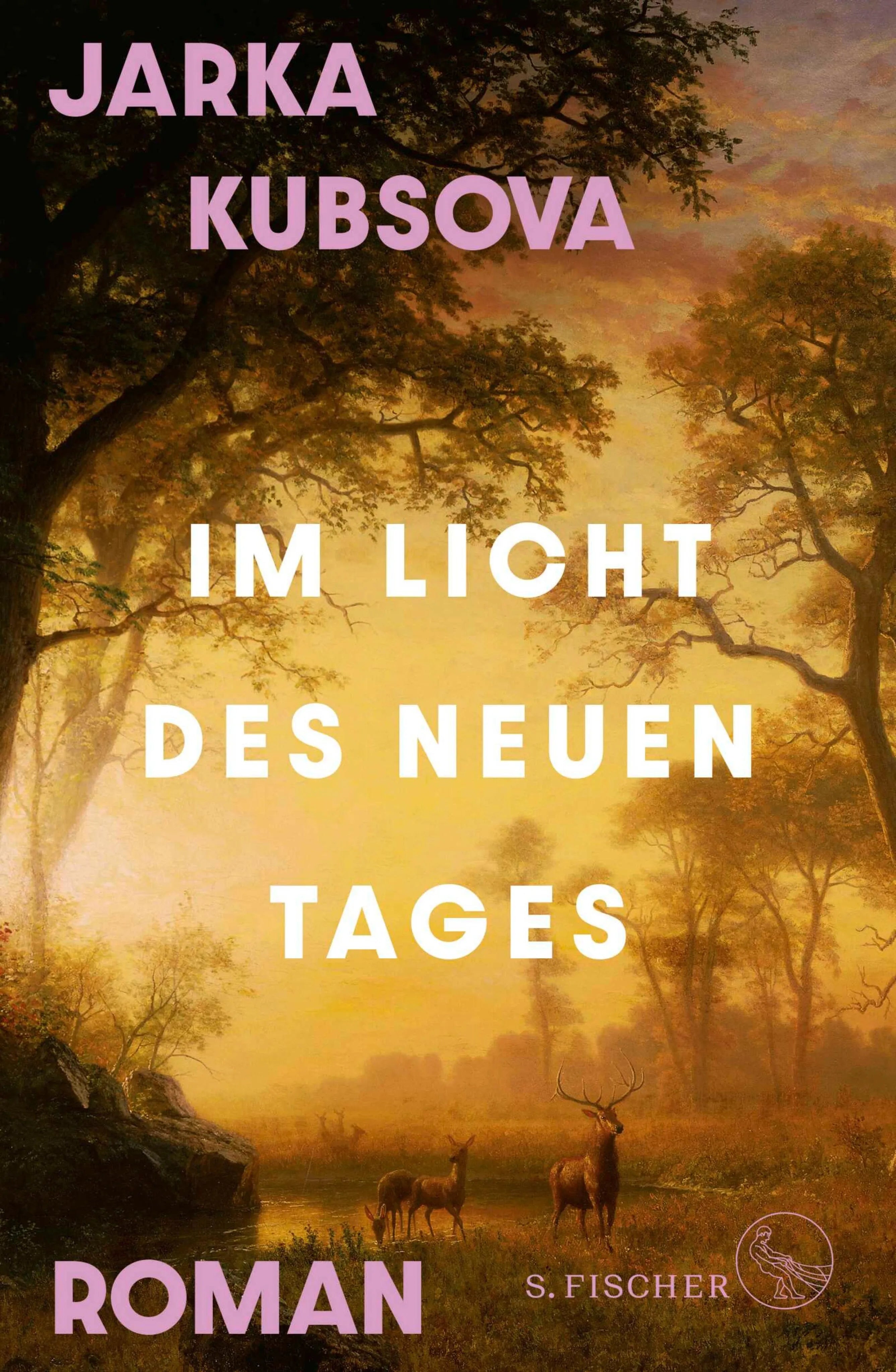 Cover: Im Licht des neuen Tages (E-Book) von Jarka Kubsova