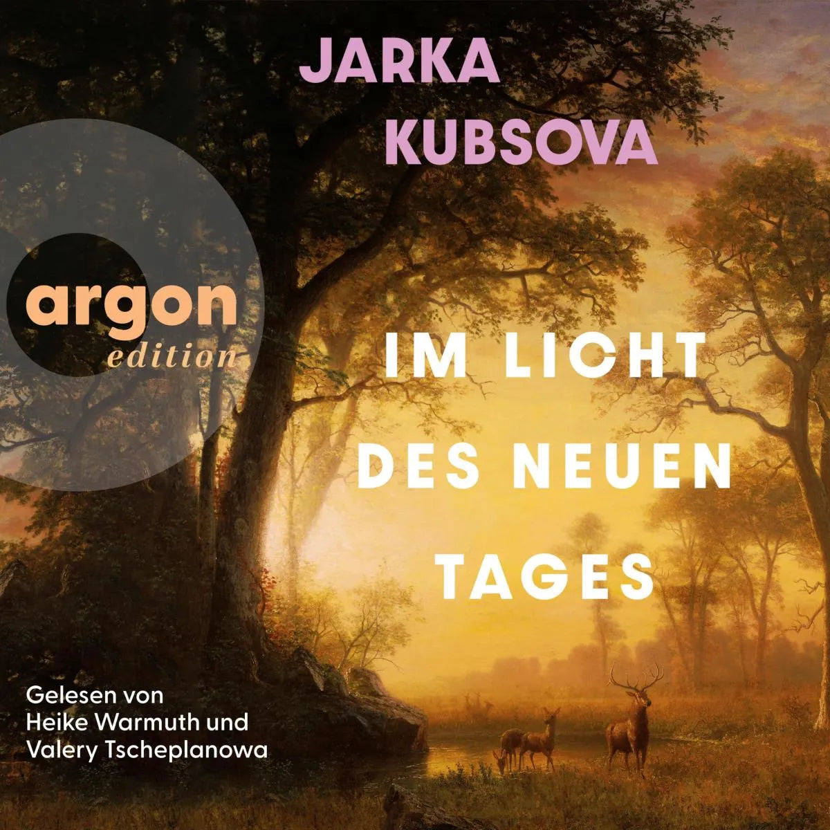Cover: Im Licht des neuen Tages (Hörbuch Download) von Jarka Kubsova