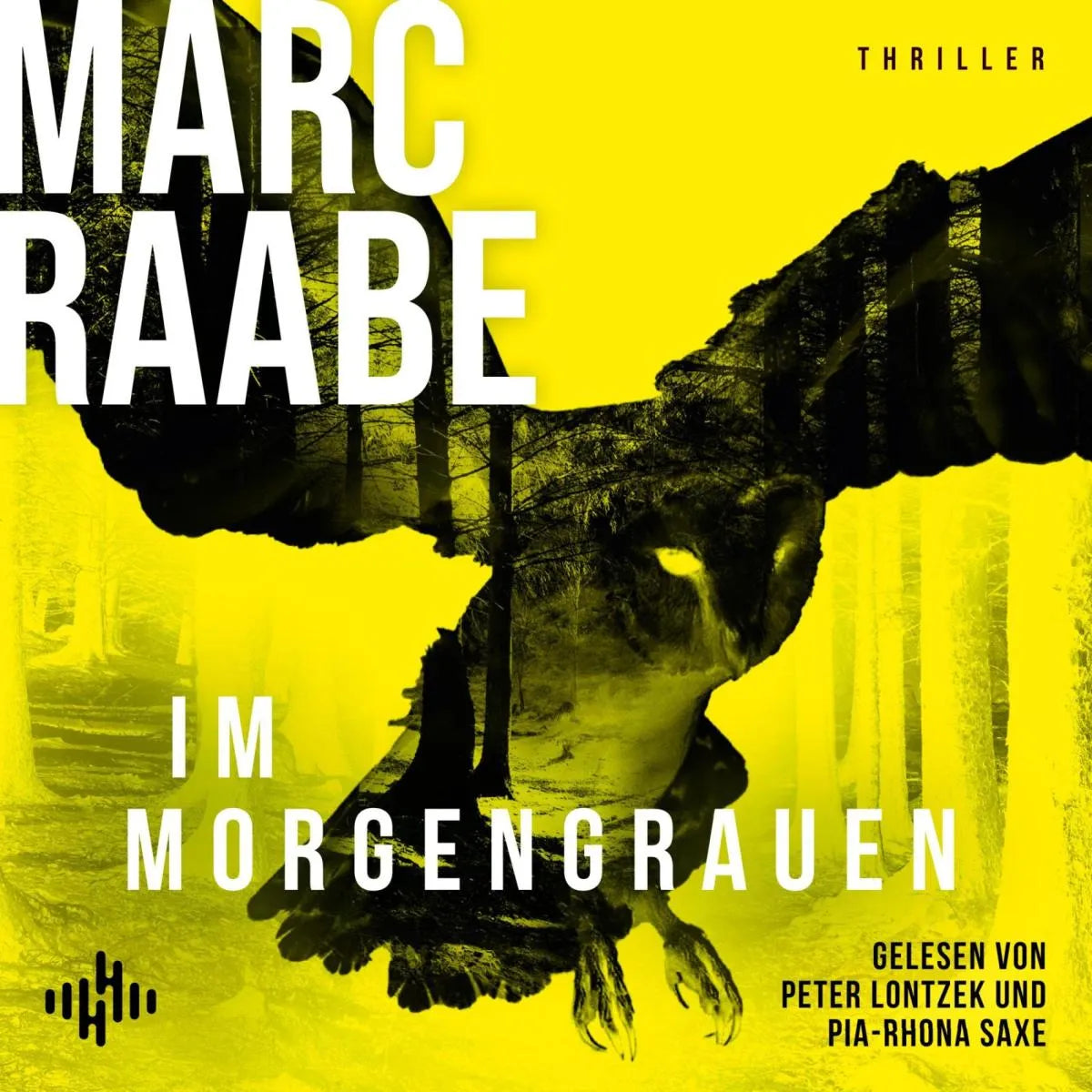 Cover: Im Morgengrauen (Hörbuch Download) von Marc Raabe