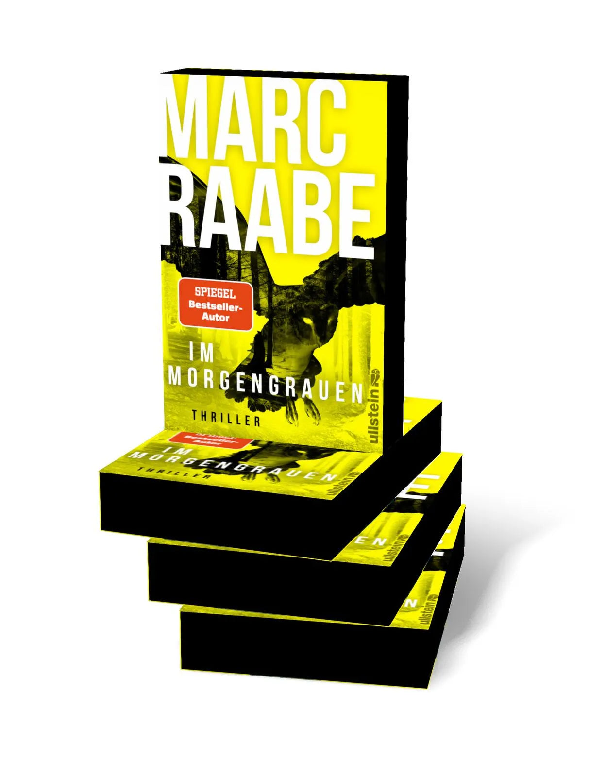 Detailansicht: Im Morgengrauen (Paperback)