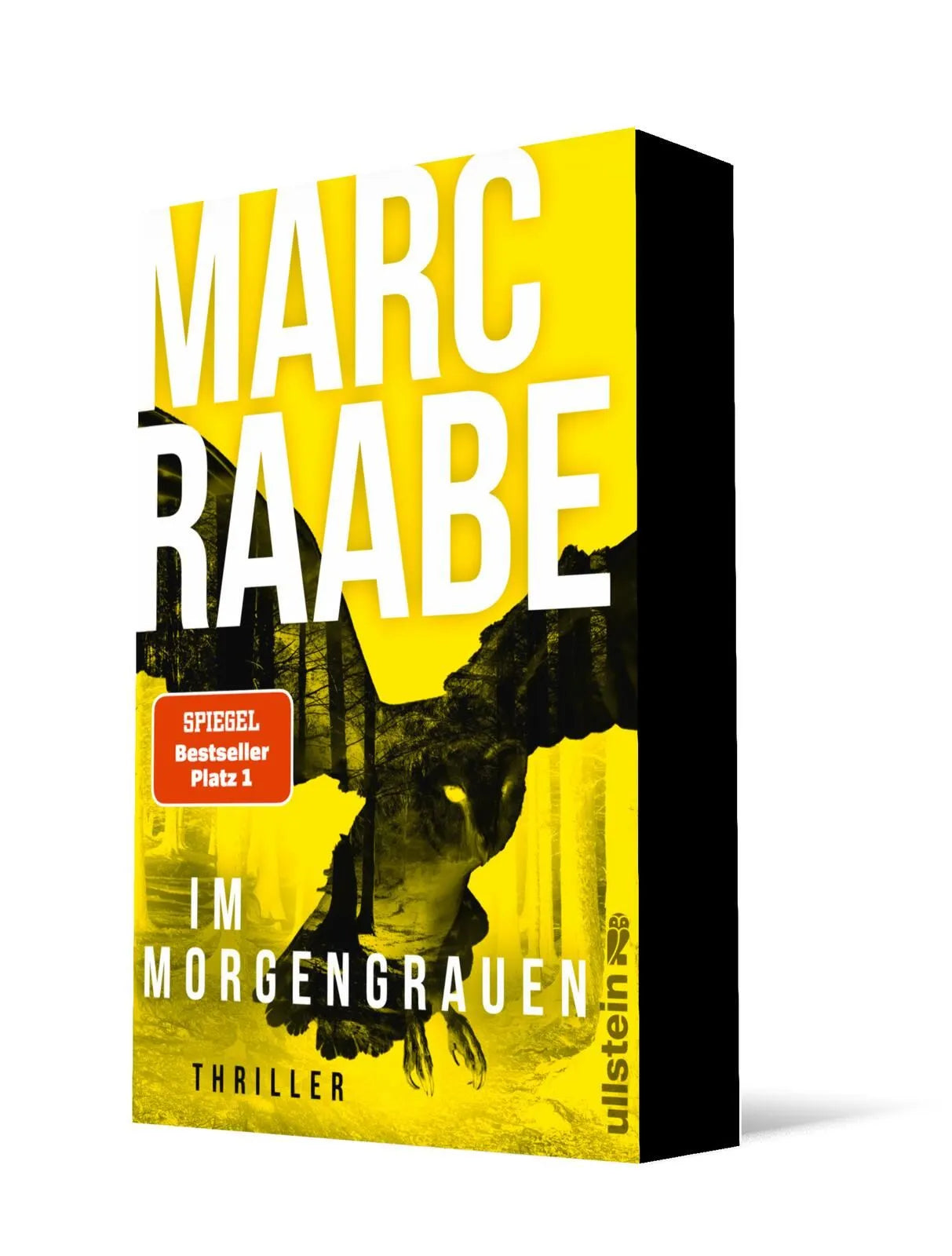 Detailansicht: Im Morgengrauen (Paperback)