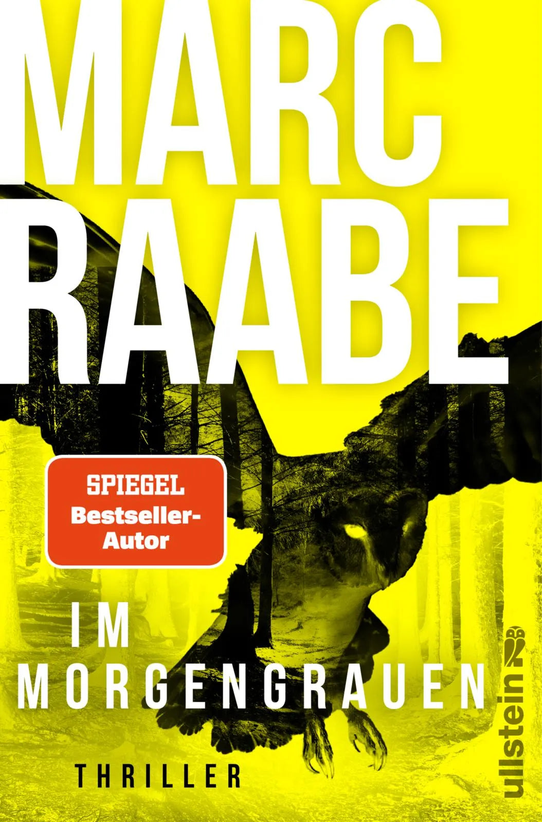 Cover: Im Morgengrauen (Paperback) von Marc Raabe