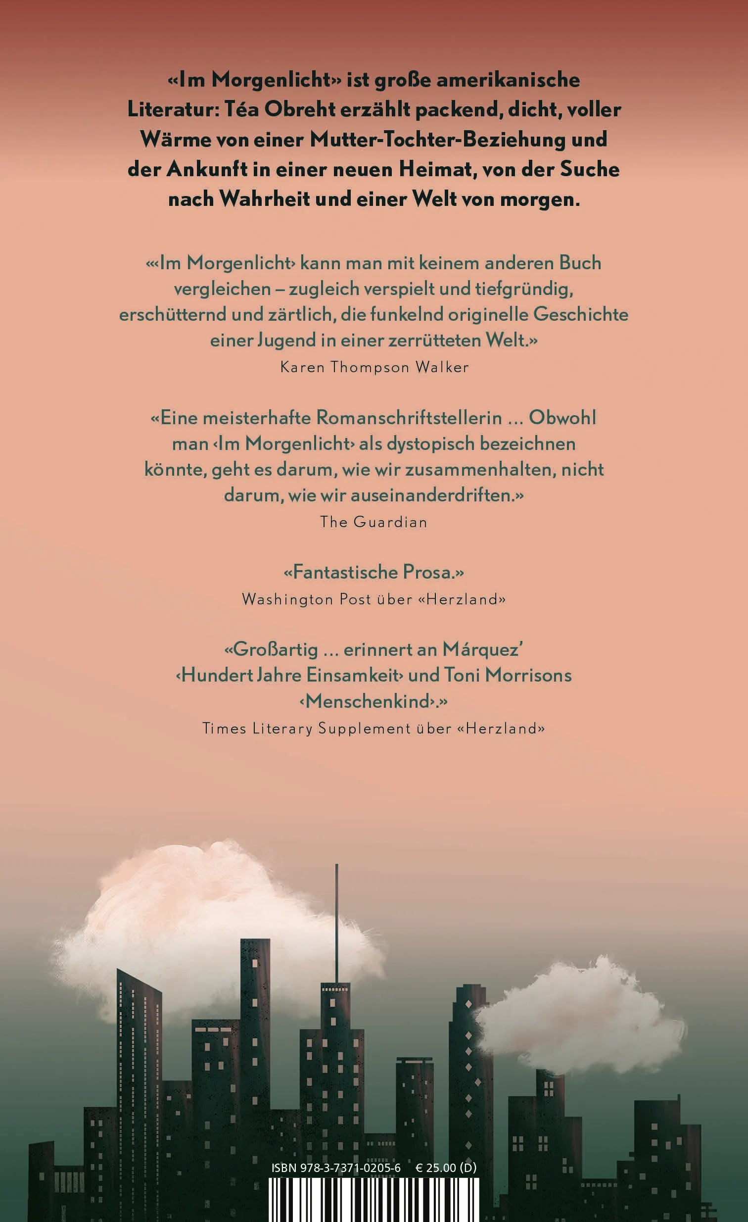 Buchrückseite von 'Im Morgenlicht' mit Klappentext - Gebundene Ausgabe