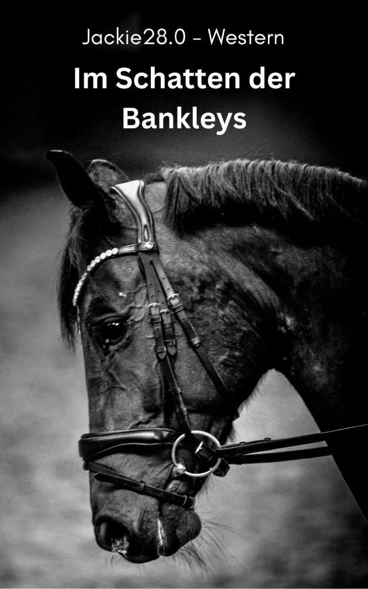 Cover: Im Schatten der Bankleys (E-Book) von Jackie28.0