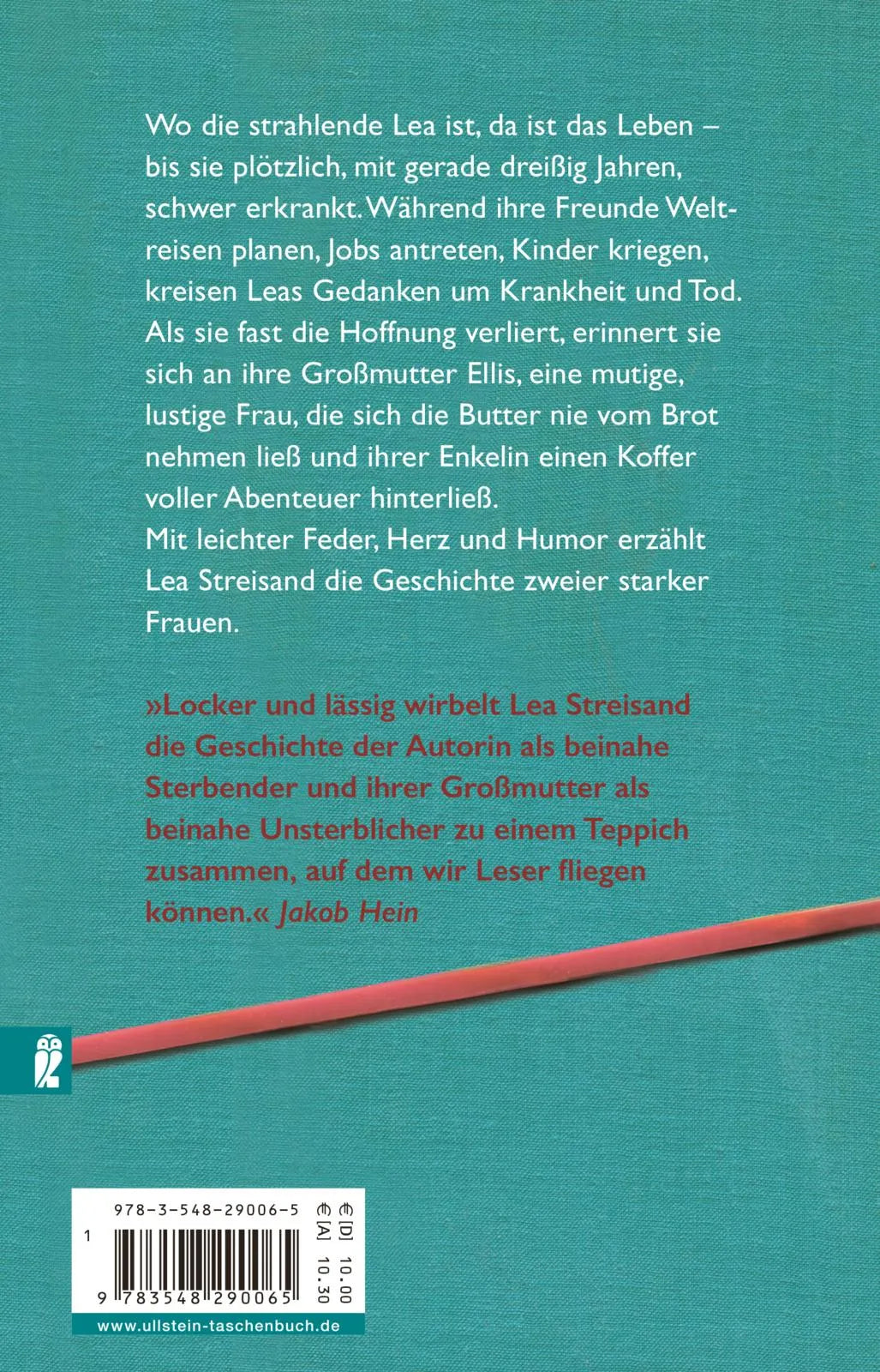 Buchrückseite von 'Im Sommer wieder Fahrrad' mit Klappentext - Taschenbuch