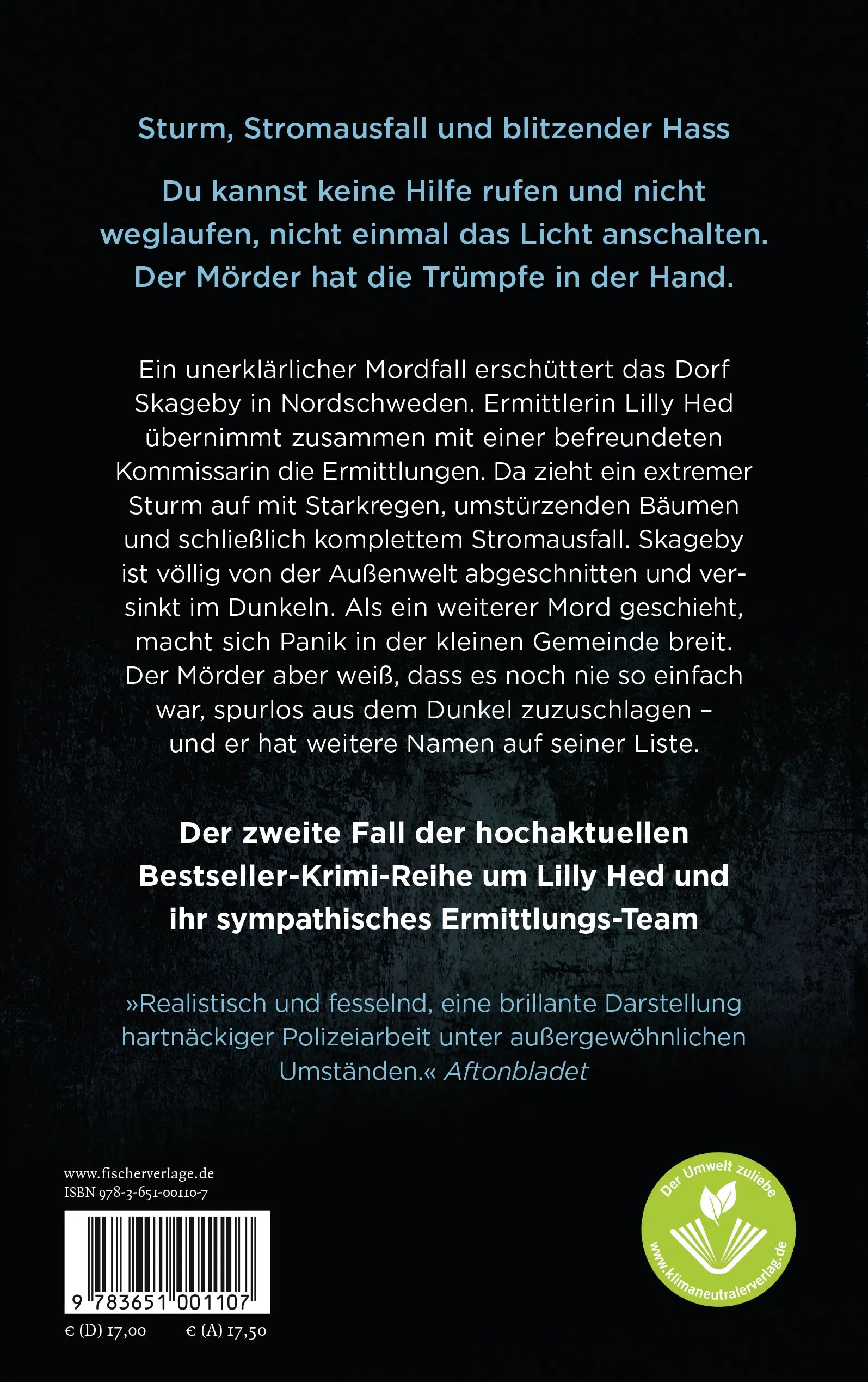 Buchrückseite von 'Im Sturm' mit Klappentext - Paperback