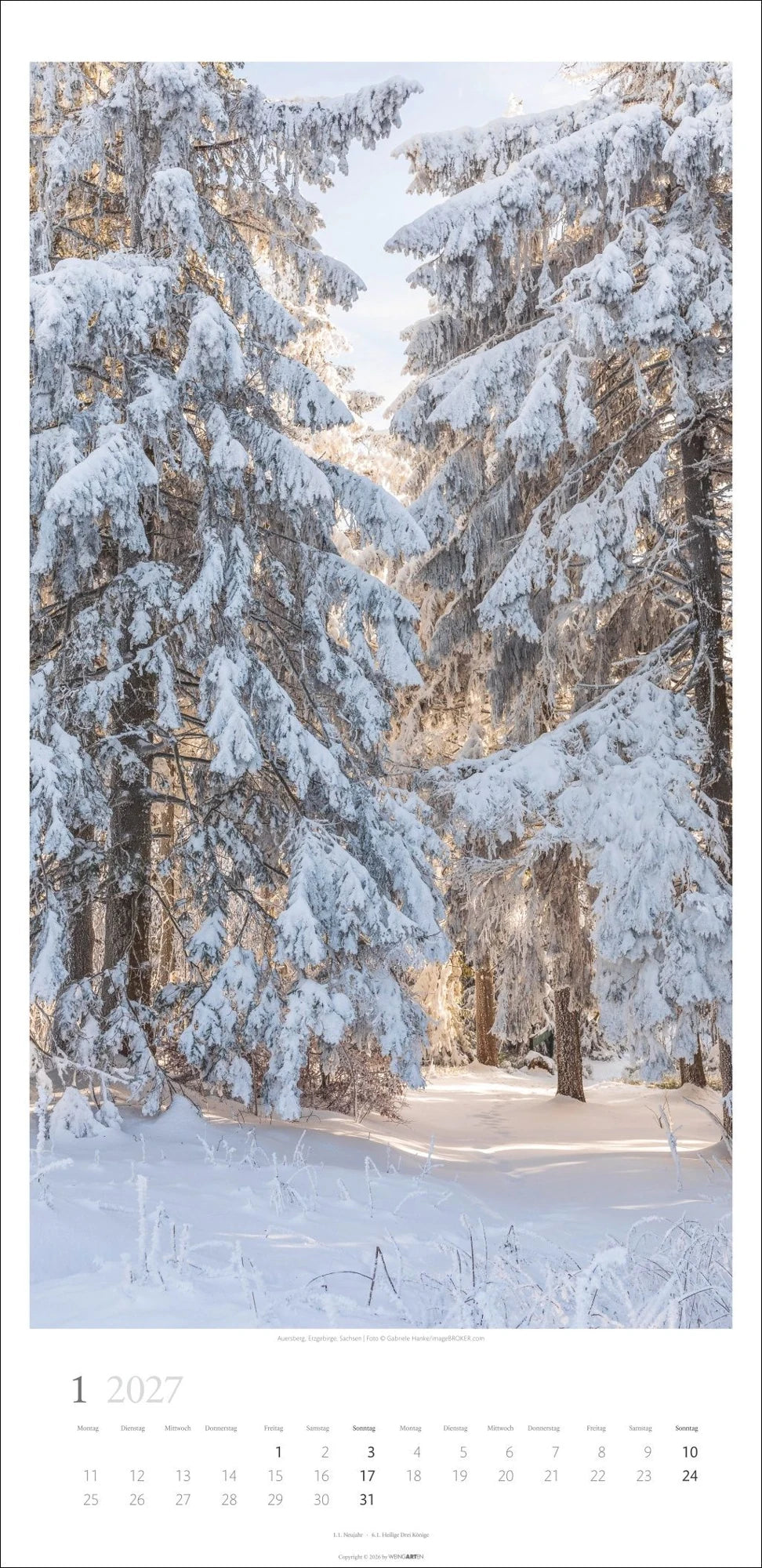 Im Wald Kalender 2027 – Ansicht