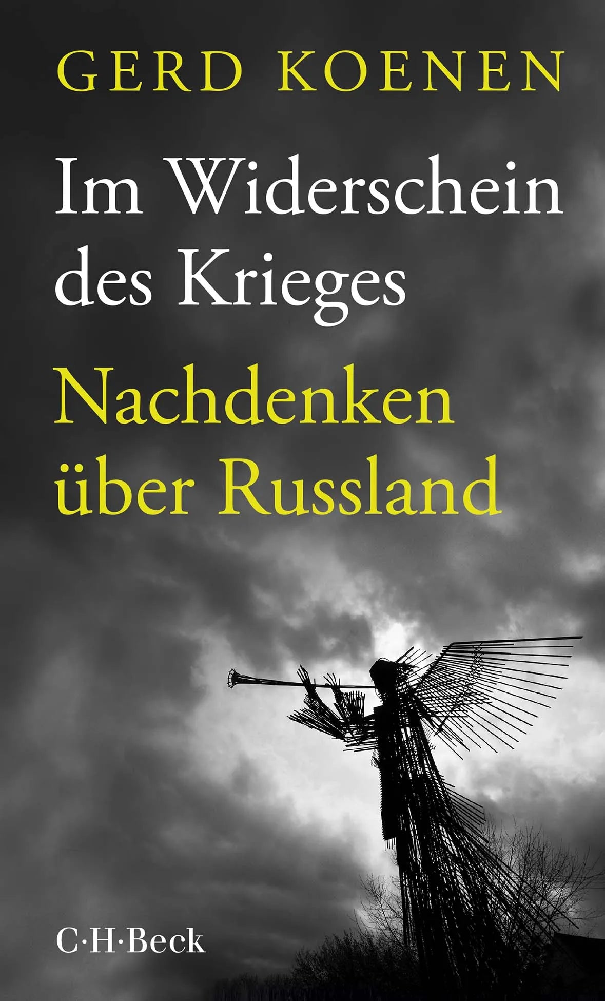 Buchcover von 'Im Widerschein des Krieges' - Taschenbuch von Gerd Koenen