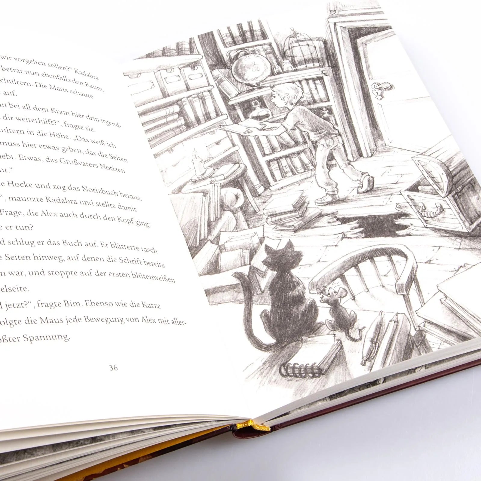 Produktansicht: Im Zeichen der Zauberkugel 4: Das Geheimnis des Drachen (Gebundene Ausgabe)