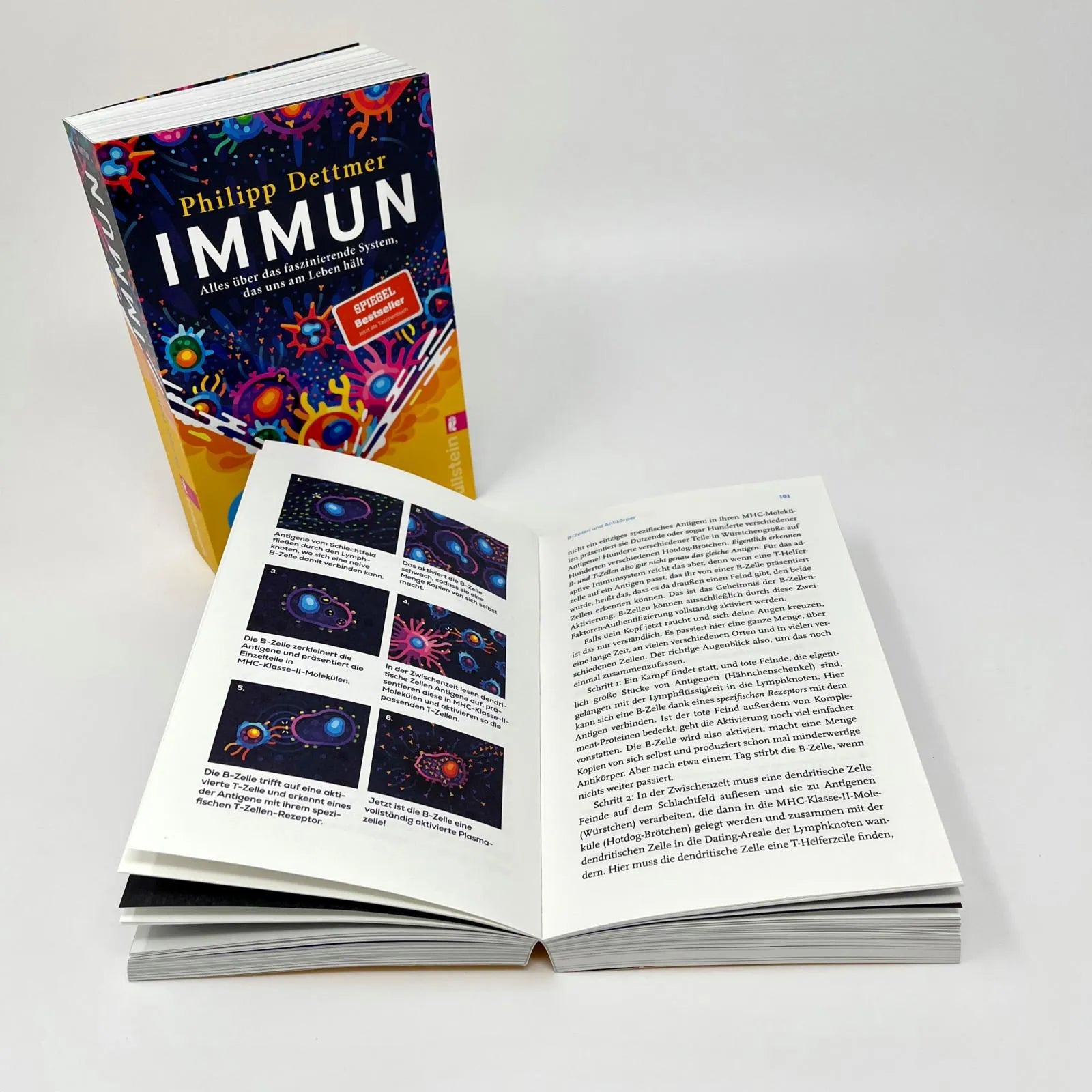 Abbildung von 'Immun'