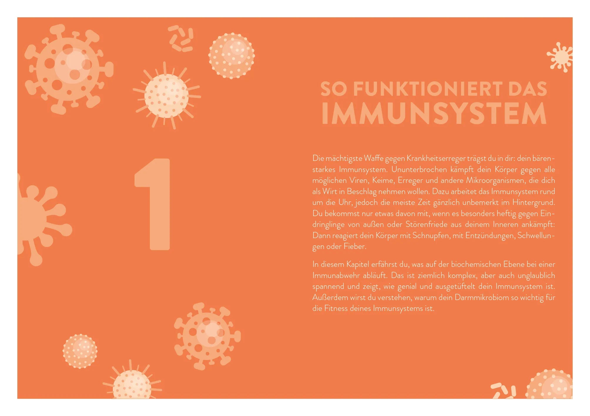Innenansicht von 'Immunpower' - Taschenbuch