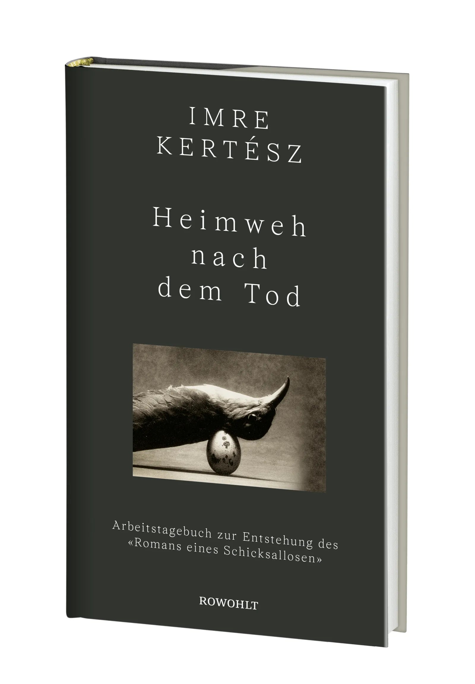 Produktansicht: Heimweh nach dem Tod (Gebundene Ausgabe)
