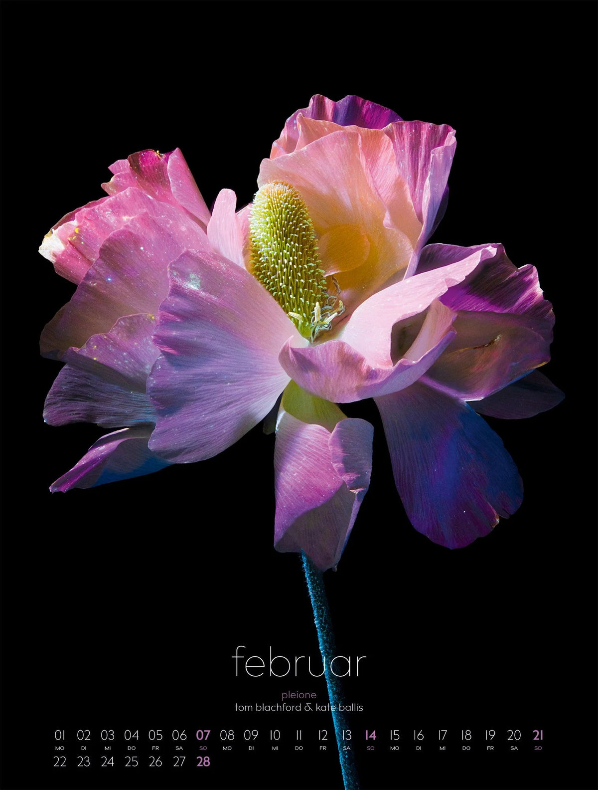 in bloom Kalender 2027 – Ansicht