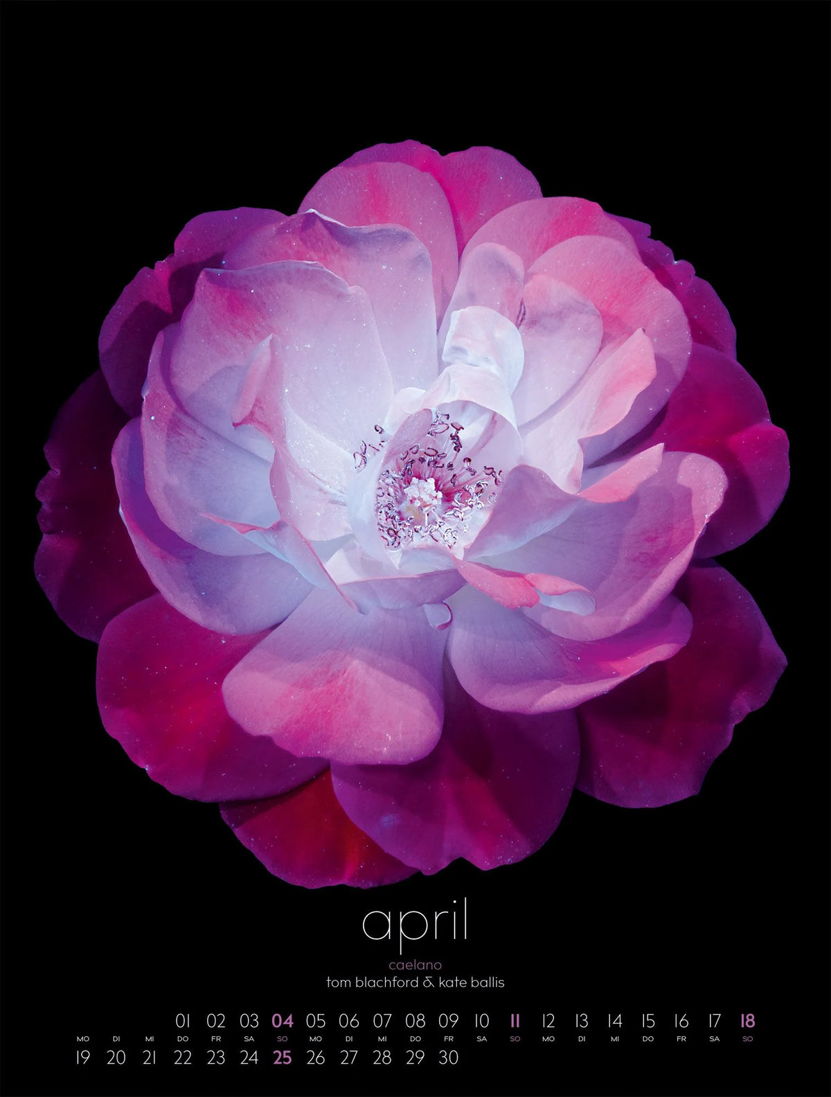 in bloom Kalender 2027 – Ansicht