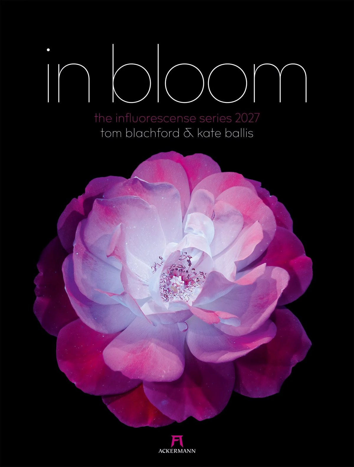 Wandkalender: in bloom Kalender 2027
