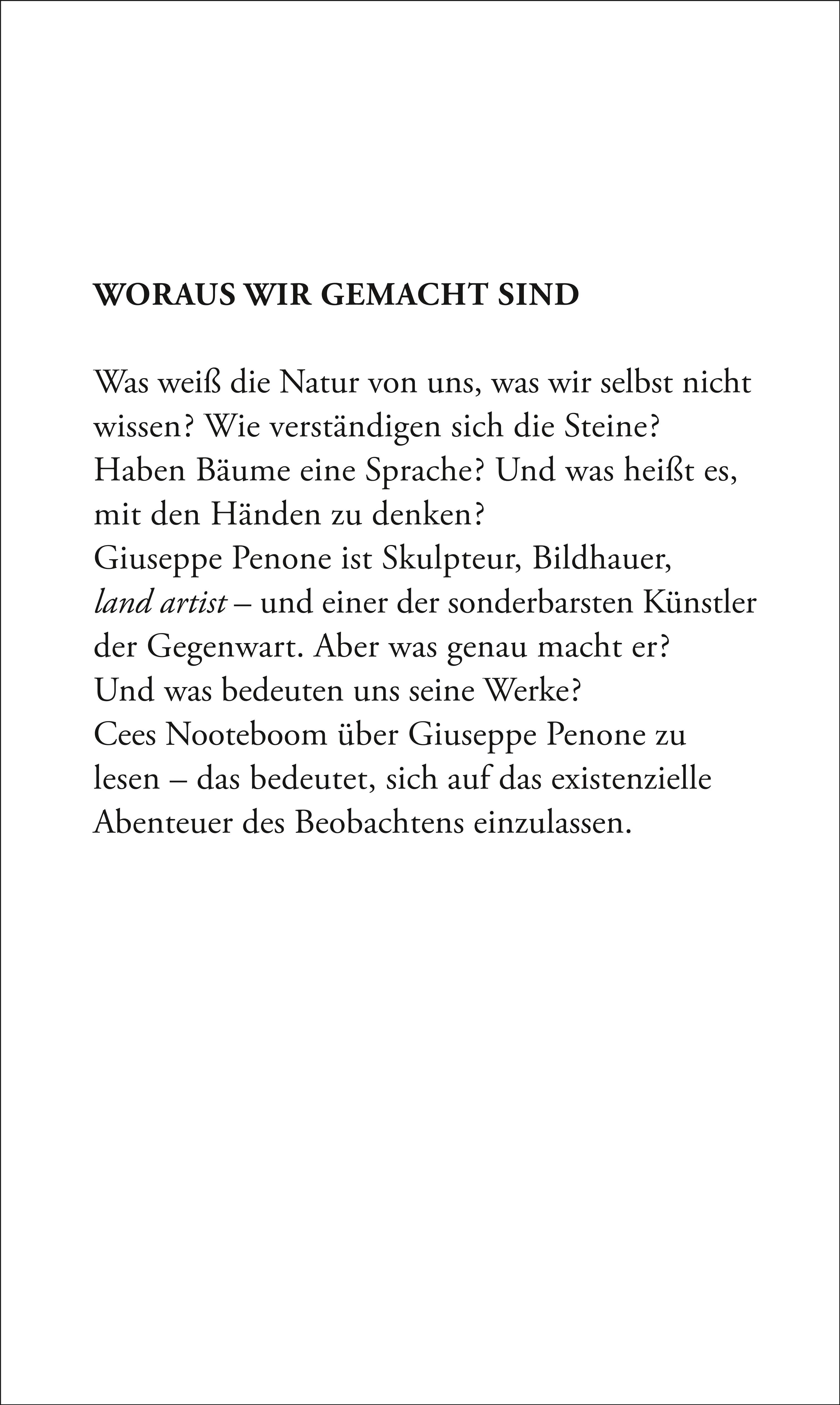 Buchrückseite von 'In den Bäumen blühen Steine' mit Klappentext - Gebundene Ausgabe