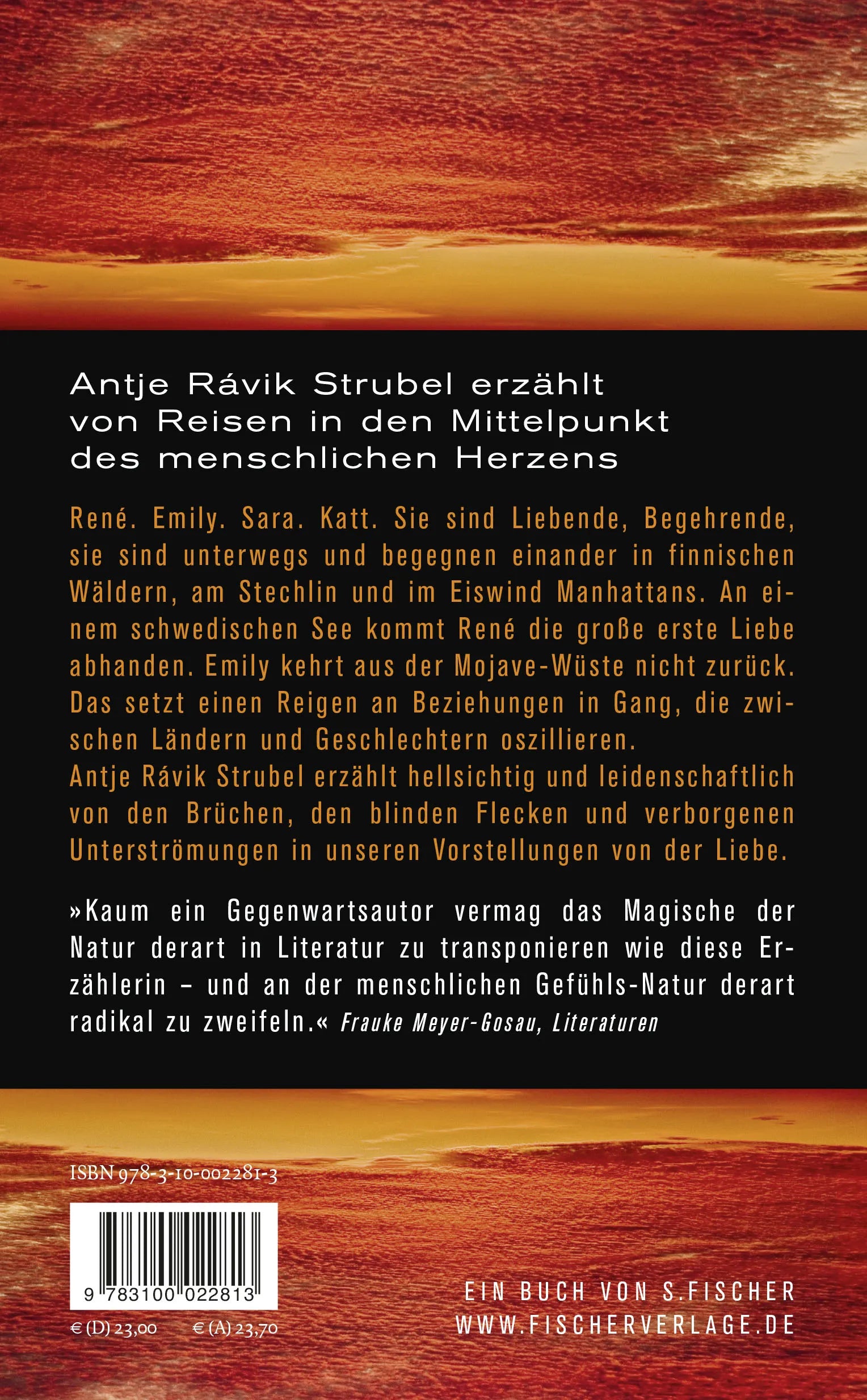 Buchrückseite von 'In den Wäldern des menschlichen Herzens' mit Klappentext - Gebundene Ausgabe