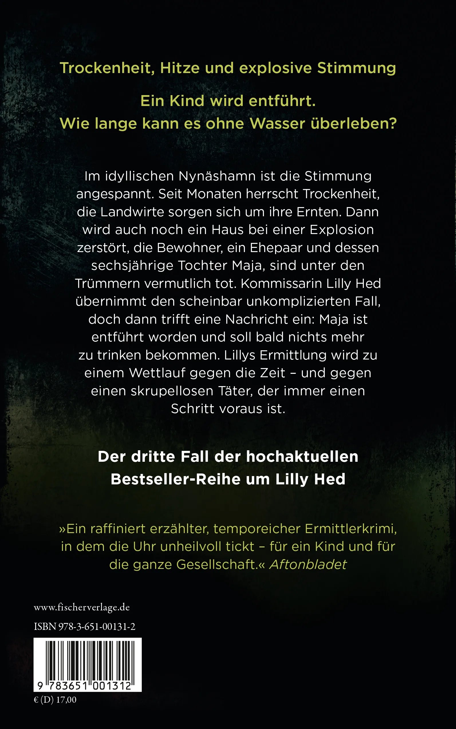Buchrückseite von 'In der Erde' mit Klappentext - Paperback