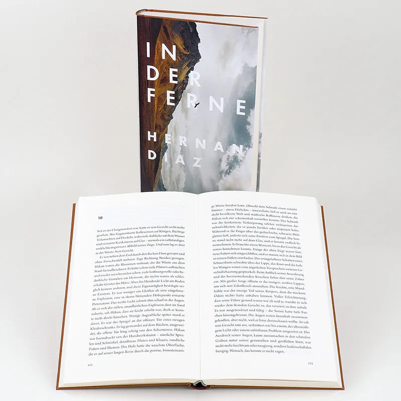 Produktansicht: In der Ferne (Gebundene Ausgabe)