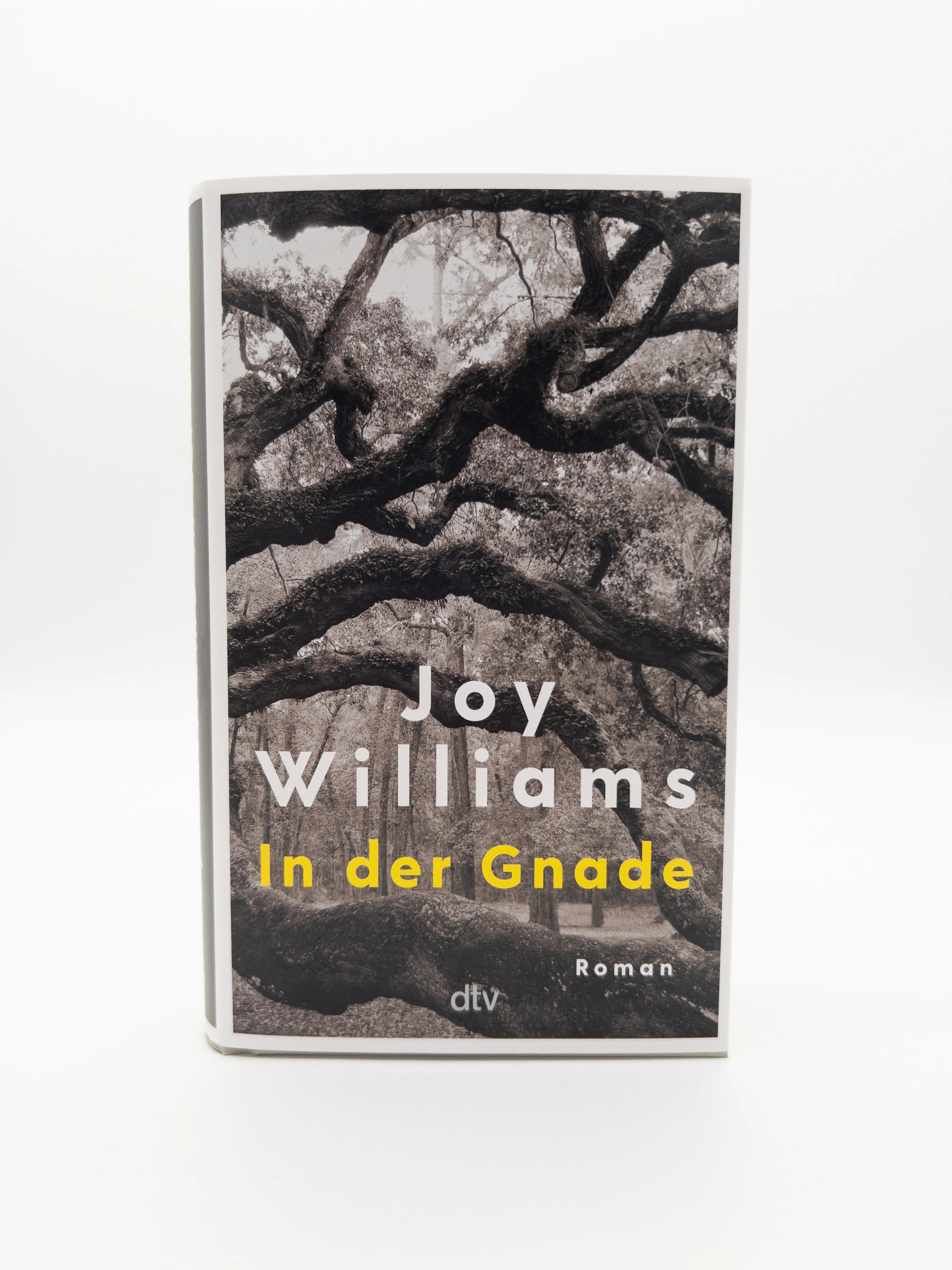 Abbildung von 'In der Gnade'