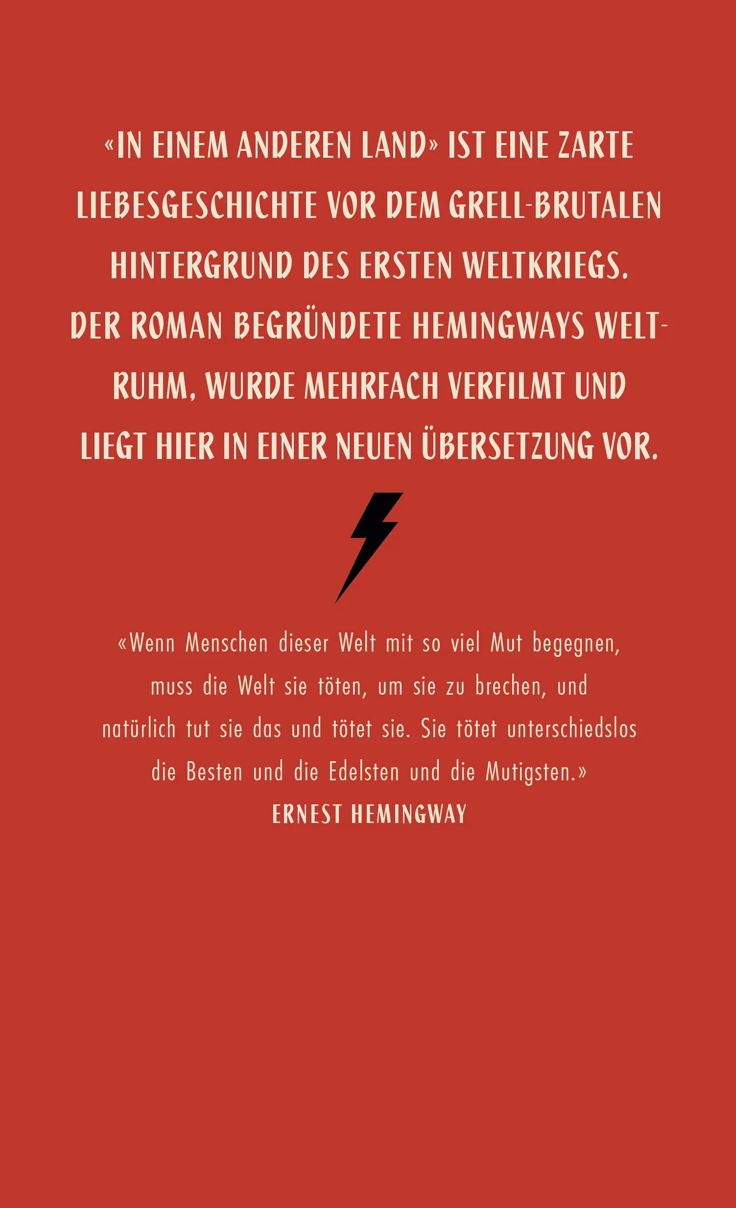 Buchrückseite von 'In einem anderen Land' mit Klappentext - Gebundene Ausgabe