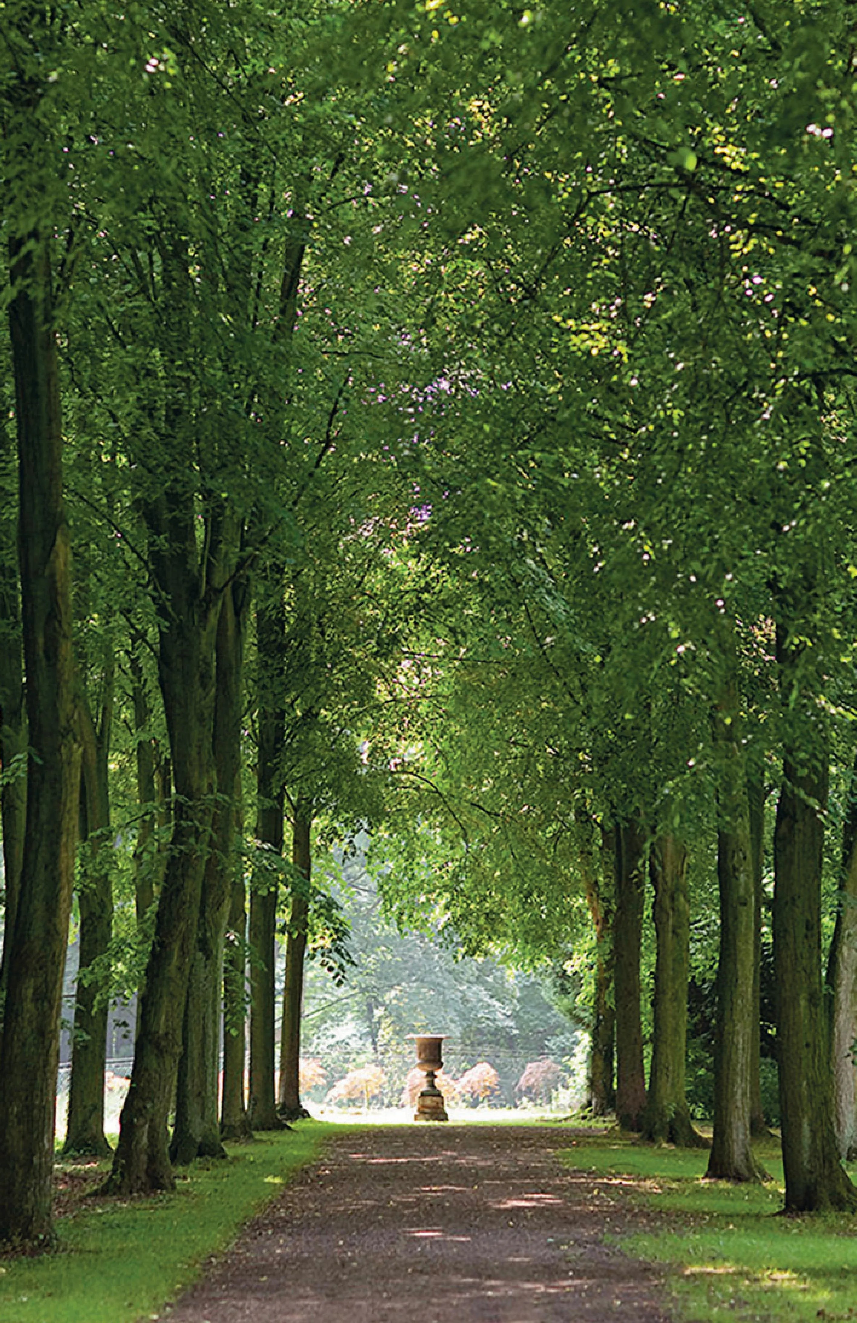 Buchrückseite von 'In einem fremden Park' mit Klappentext - Gebundene Ausgabe