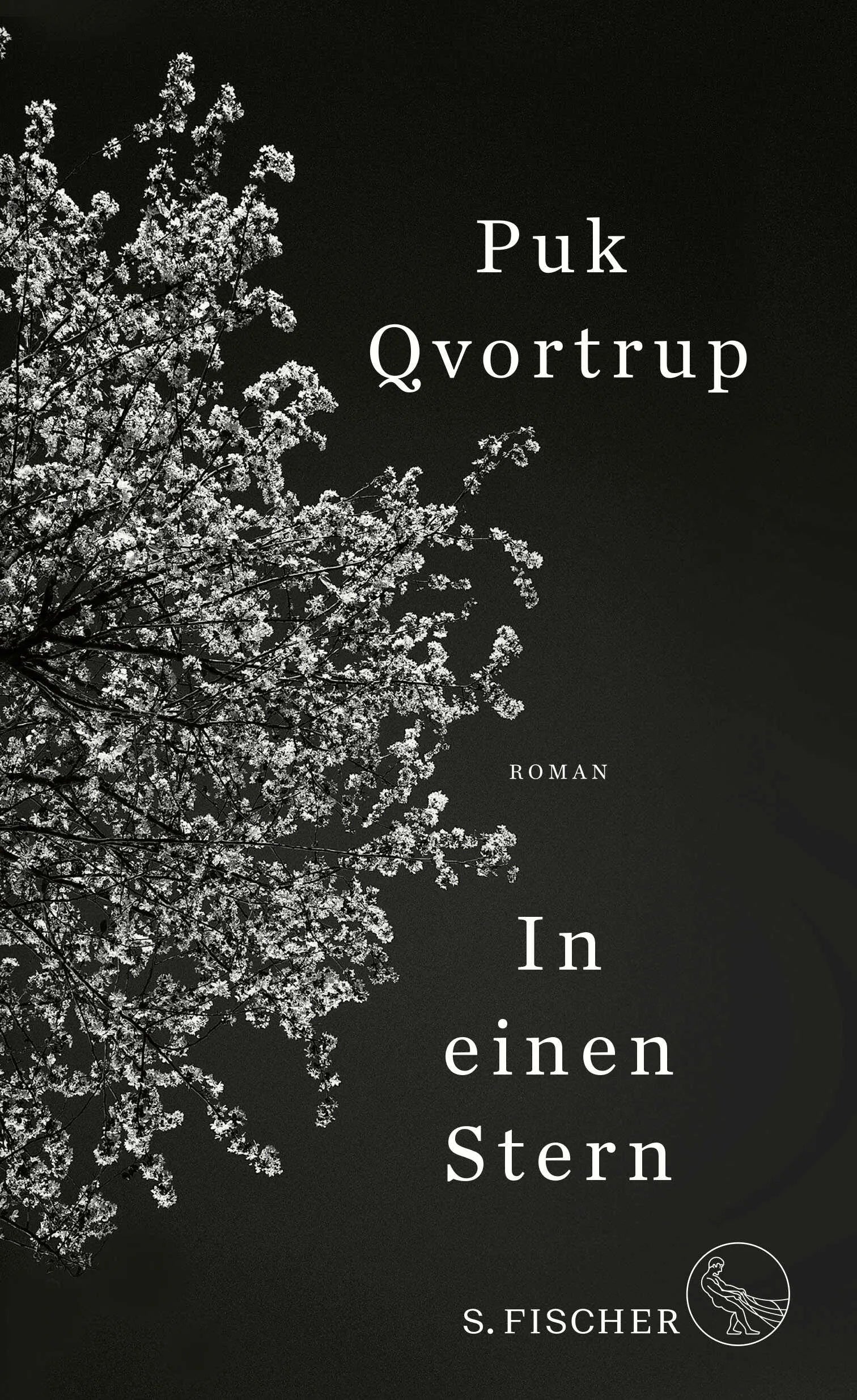 Buchcover von 'In einen Stern' - Gebundene Ausgabe von Puk Qvortrup