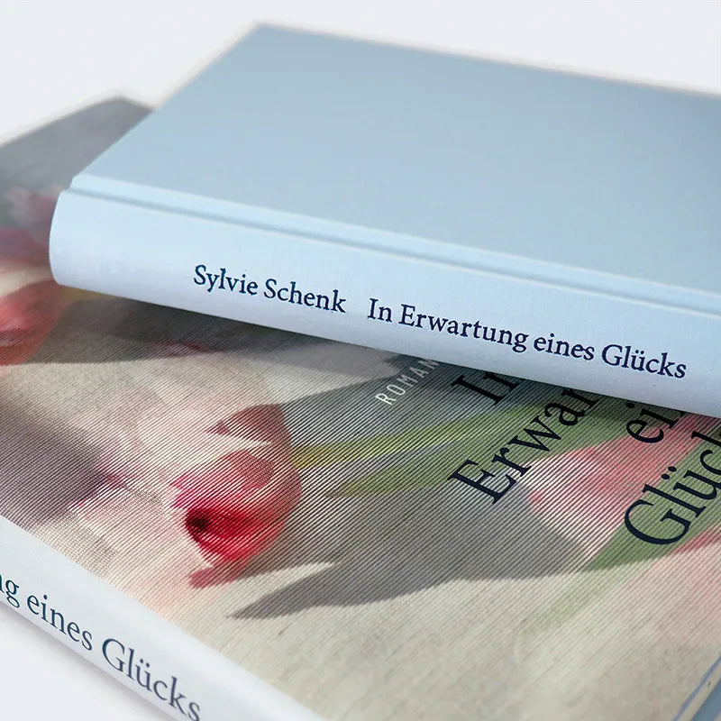 Sylvie Schenk - In Erwartung eines Glücks