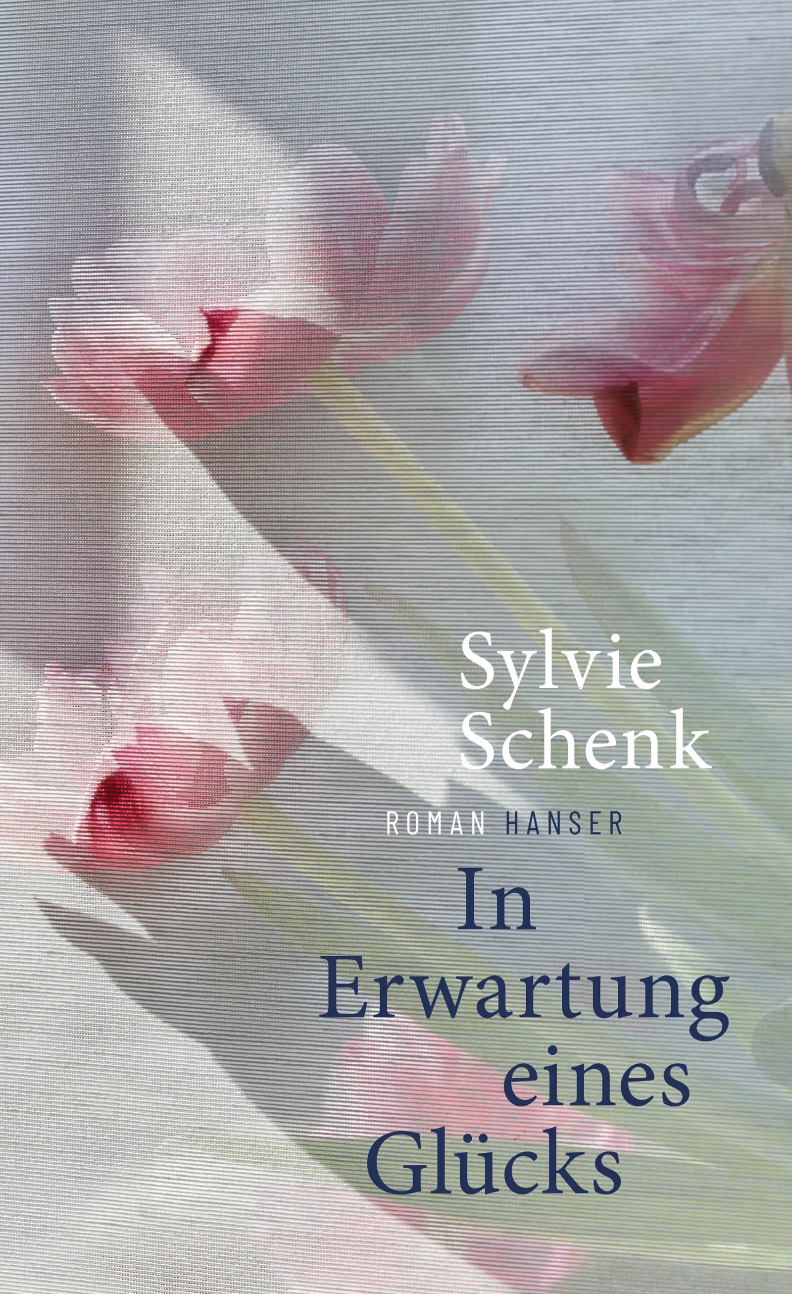 Buchcover von 'In Erwartung eines Glücks' - Gebundene Ausgabe von Sylvie Schenk